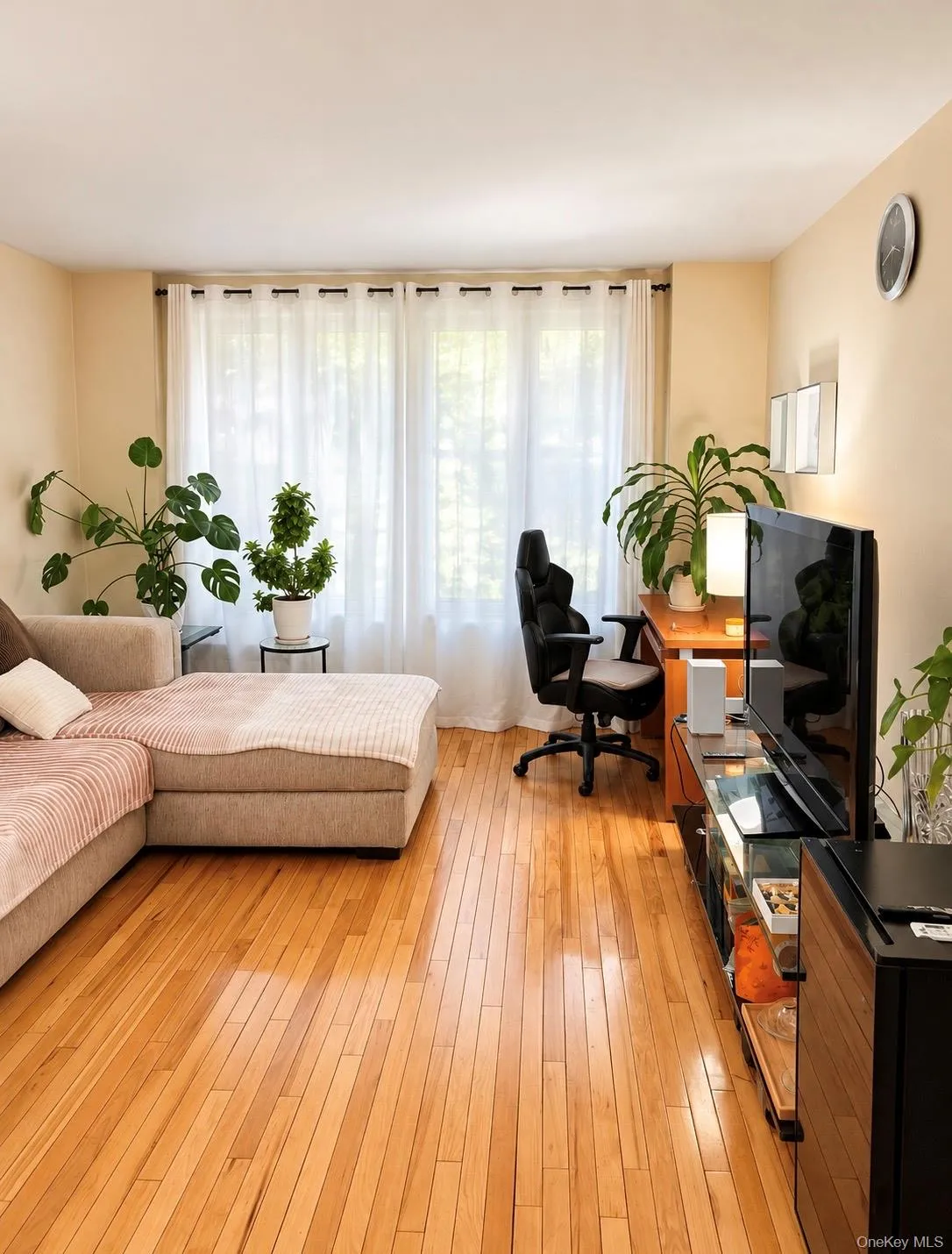 14215 FRANKLIN, New York, NY, 1 Bedroom Bedrooms, 3 Rooms Rooms,1 BathroomBathrooms,Residential,For Rent,FRANKLIN,0,1061041 14215 FRANKLIN, New York, NY, 1 Bedroom Bedrooms, 3 Rooms Rooms,1 BathroomBathrooms,Residential,For Rent,FRANKLIN,0,1061041