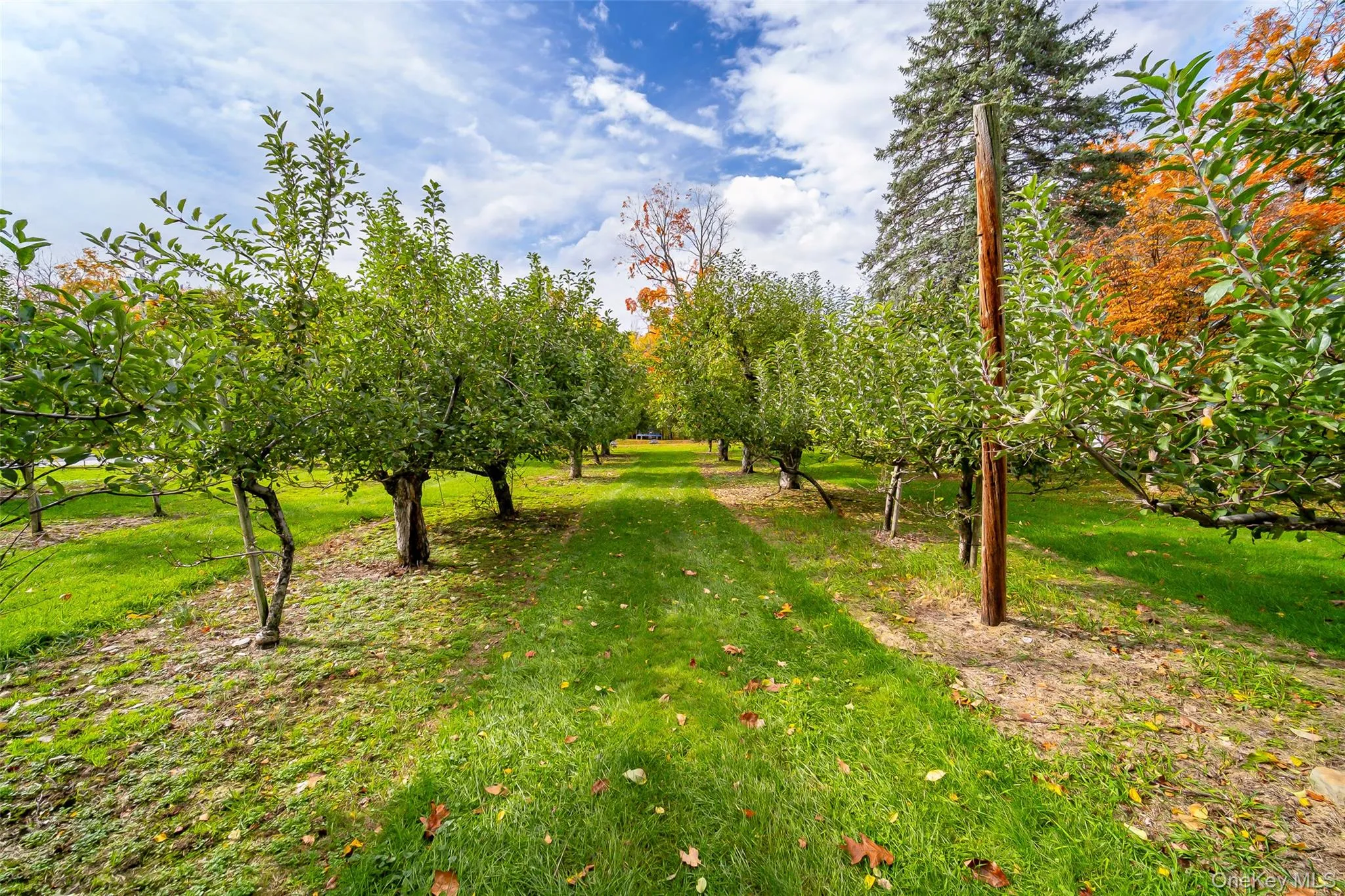 261 Orchard Road, Marlboro, NY, 2 Bedrooms Bedrooms, 5 Rooms Rooms,1 BathroomBathrooms,Residential,For Rent,Orchard,0,1061083 261 Orchard Road, Marlboro, NY, 2 Bedrooms Bedrooms, 5 Rooms Rooms,1 BathroomBathrooms,Residential,For Rent,Orchard,0,1061083