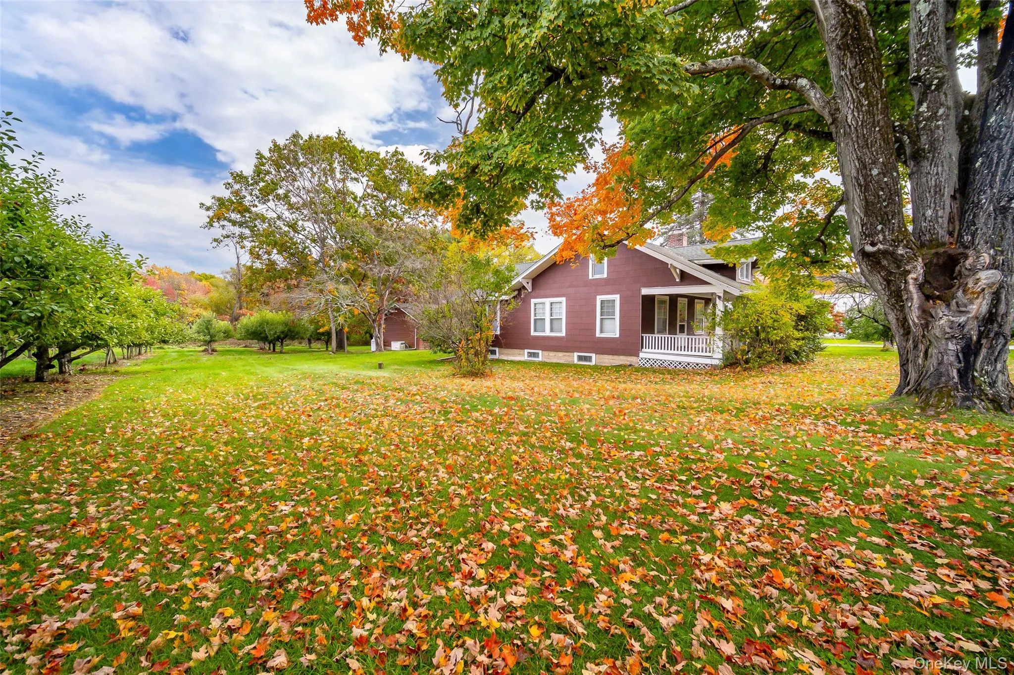 261 Orchard Road, Marlboro, NY, 2 Bedrooms Bedrooms, 5 Rooms Rooms,1 BathroomBathrooms,Residential,For Rent,Orchard,0,1061083 261 Orchard Road, Marlboro, NY, 2 Bedrooms Bedrooms, 5 Rooms Rooms,1 BathroomBathrooms,Residential,For Rent,Orchard,0,1061083