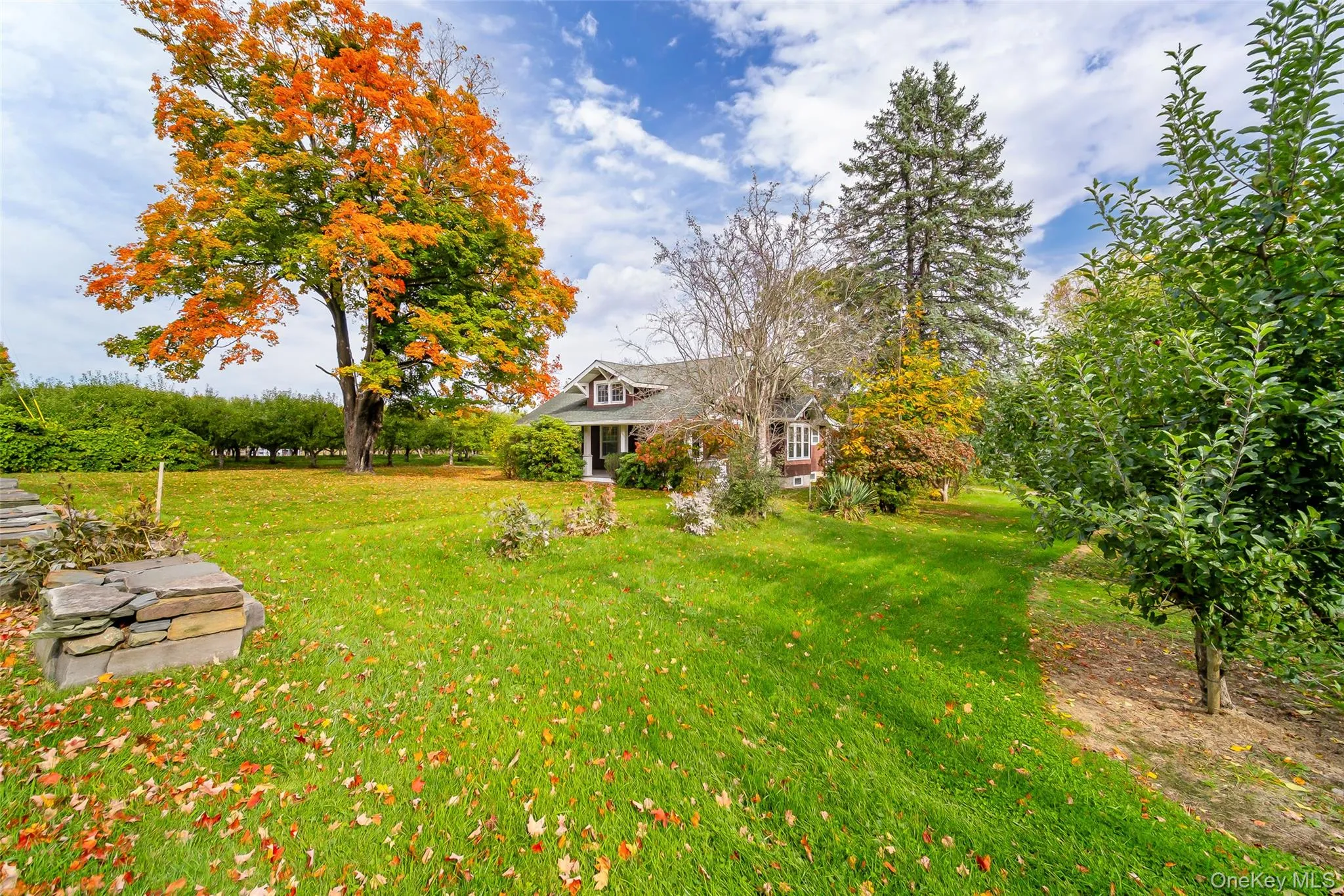261 Orchard Road, Marlboro, NY, 2 Bedrooms Bedrooms, 5 Rooms Rooms,1 BathroomBathrooms,Residential,For Rent,Orchard,0,1061083 261 Orchard Road, Marlboro, NY, 2 Bedrooms Bedrooms, 5 Rooms Rooms,1 BathroomBathrooms,Residential,For Rent,Orchard,0,1061083