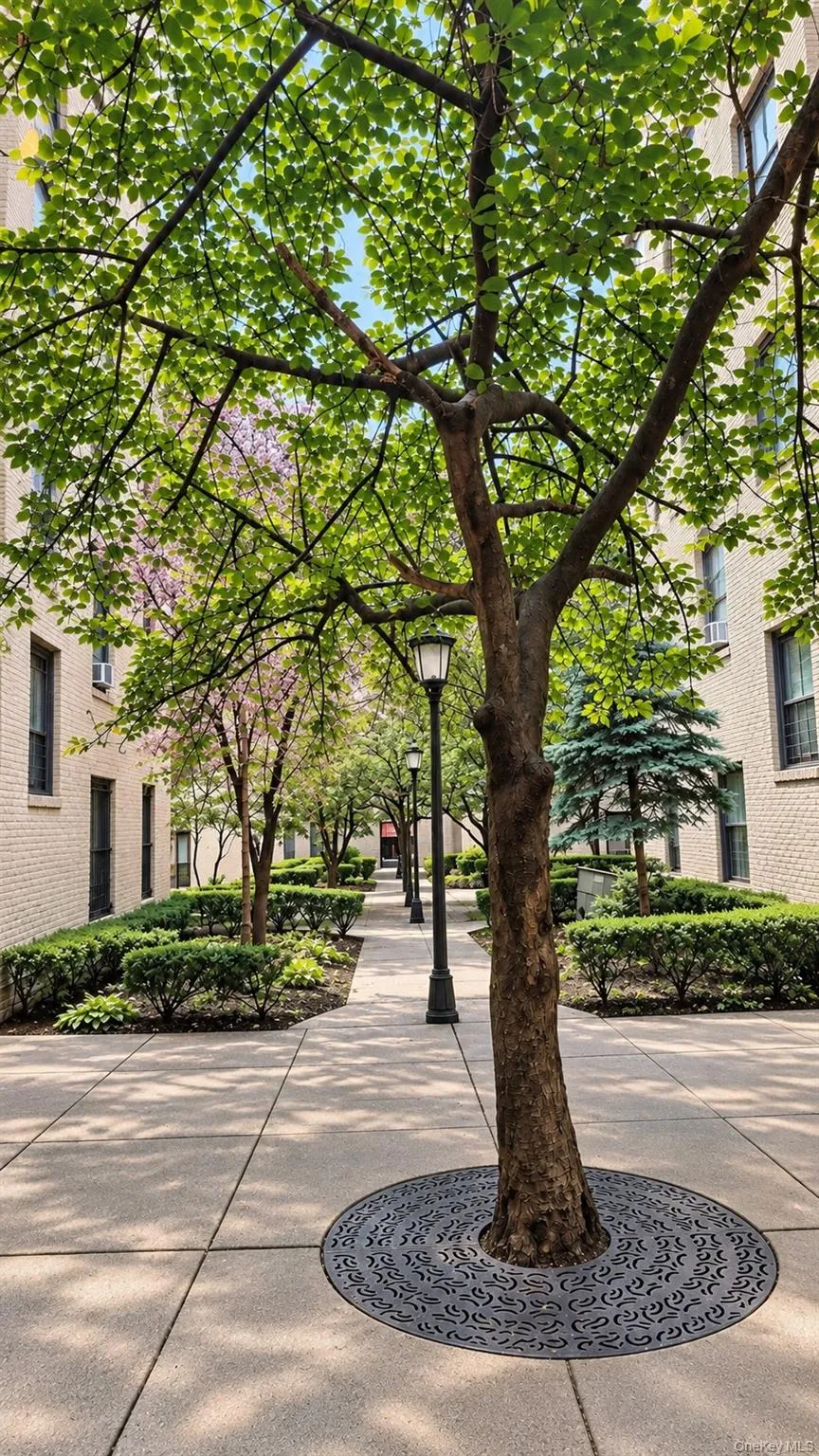 21-38 35th Street, New York, NY, 2 Bedrooms Bedrooms, 5 Rooms Rooms,1 BathroomBathrooms,Residential,For Rent,35th,0,1061104 21-38 35th Street, New York, NY, 2 Bedrooms Bedrooms, 5 Rooms Rooms,1 BathroomBathrooms,Residential,For Rent,35th,0,1061104