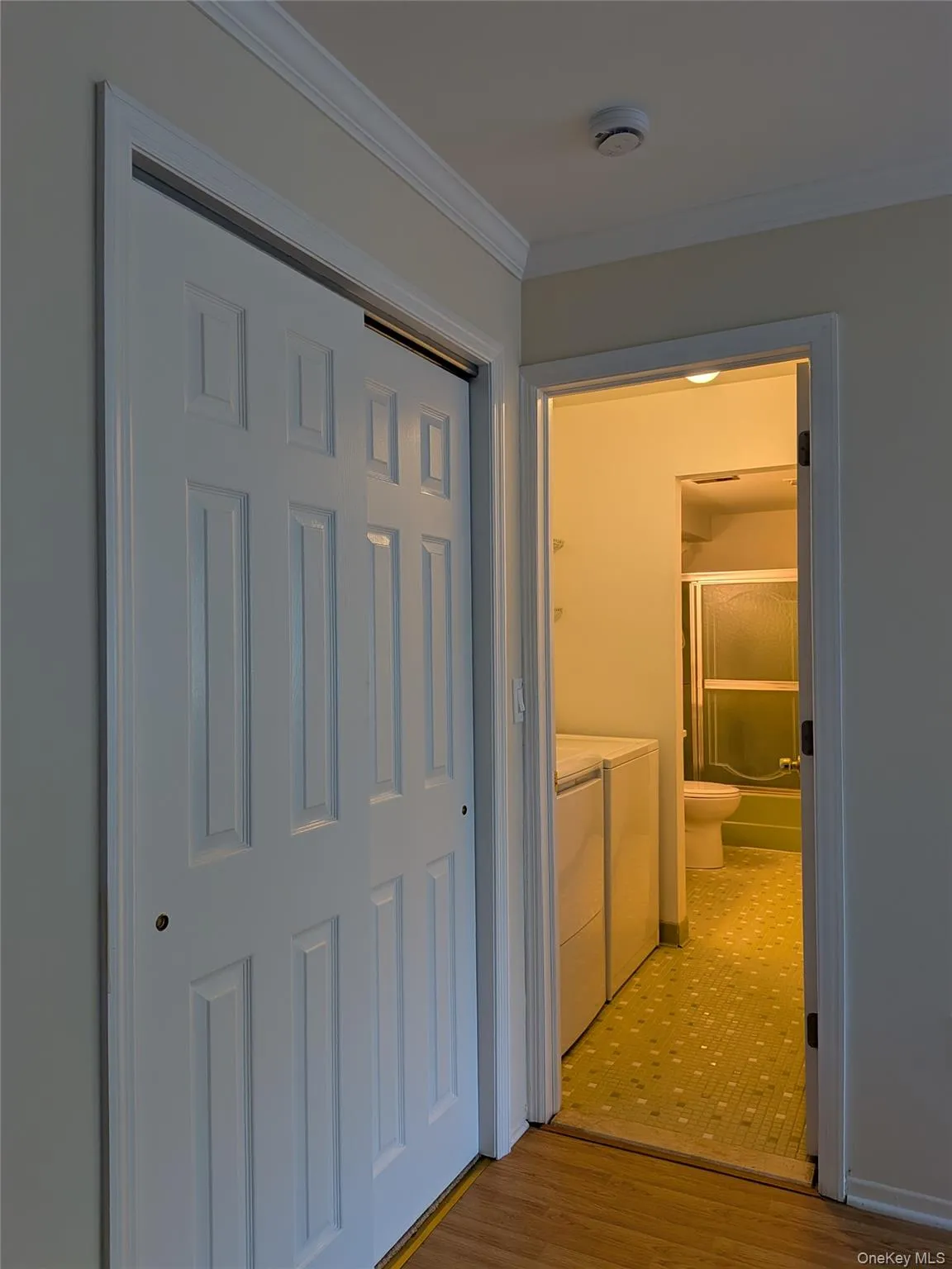 View into bathroom from entry area, large entry closet View into bathroom from entry area, large entry closet