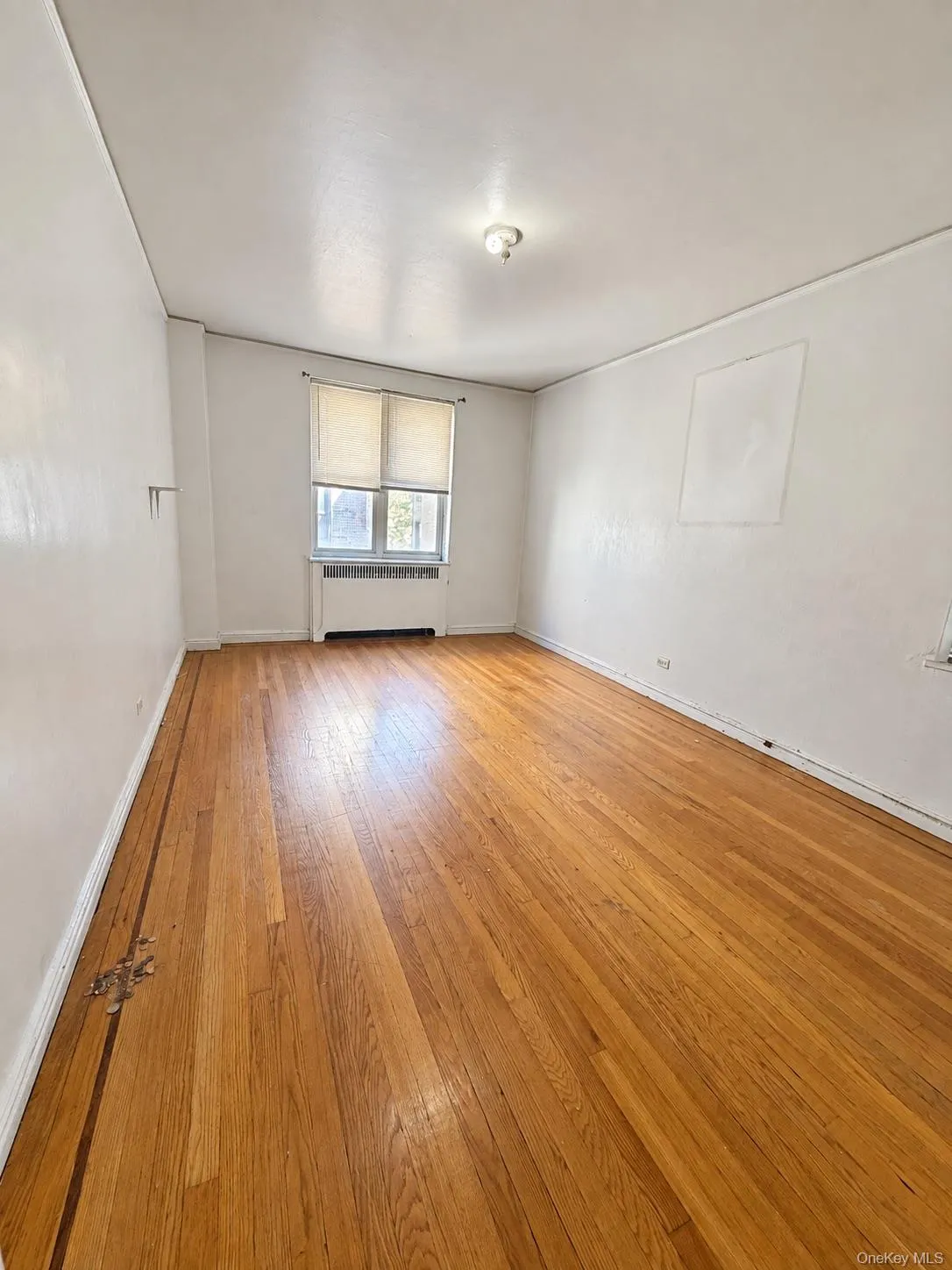 2160 Bronx Park Park, New York, NY, 1 Bedroom Bedrooms, 4 Rooms Rooms,1 BathroomBathrooms,Residential,For Rent,Bronx Park,0,1061142 2160 Bronx Park Park, New York, NY, 1 Bedroom Bedrooms, 4 Rooms Rooms,1 BathroomBathrooms,Residential,For Rent,Bronx Park,0,1061142