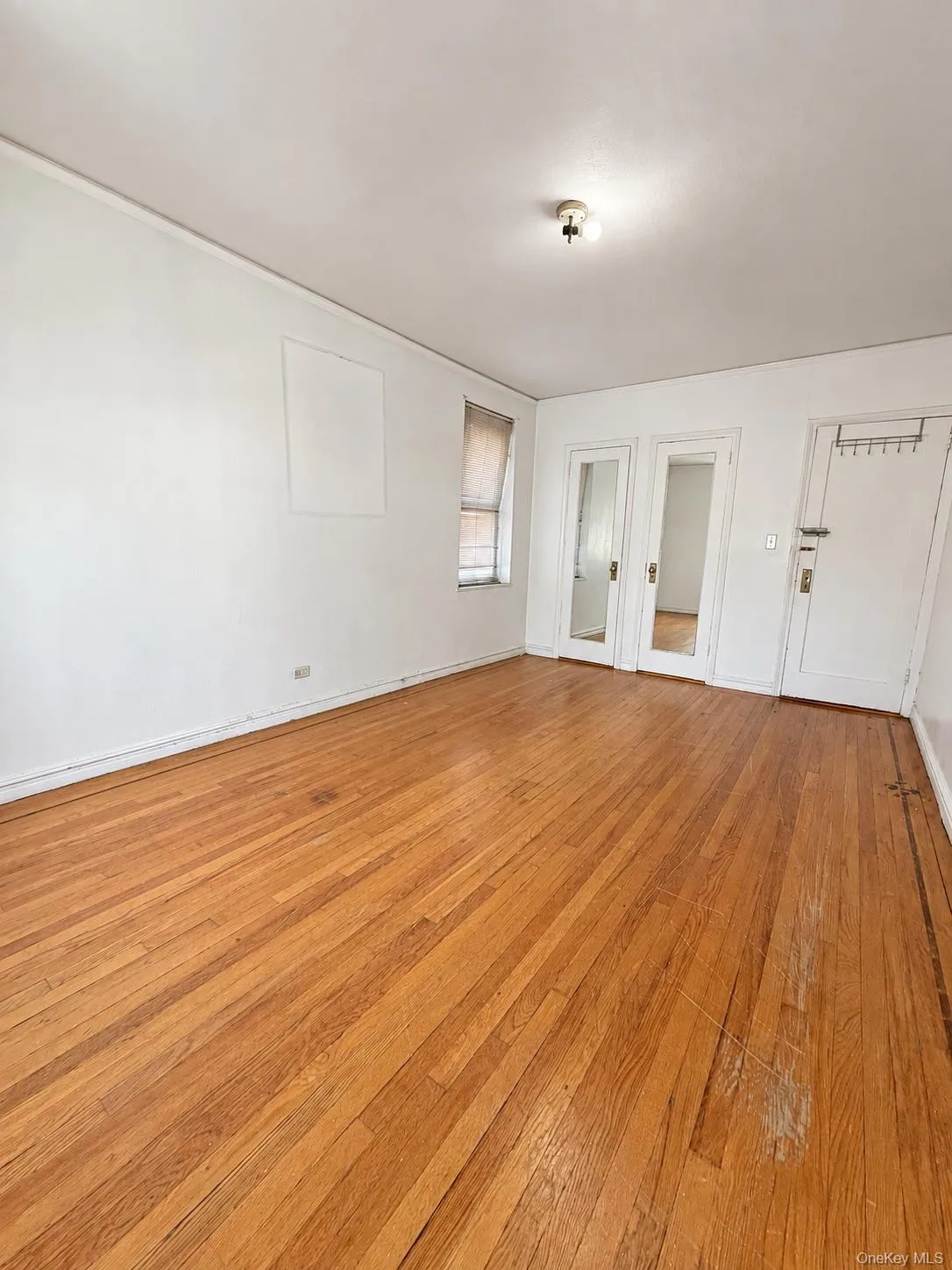 2160 Bronx Park Park, New York, NY, 1 Bedroom Bedrooms, 4 Rooms Rooms,1 BathroomBathrooms,Residential,For Rent,Bronx Park,0,1061142 2160 Bronx Park Park, New York, NY, 1 Bedroom Bedrooms, 4 Rooms Rooms,1 BathroomBathrooms,Residential,For Rent,Bronx Park,0,1061142