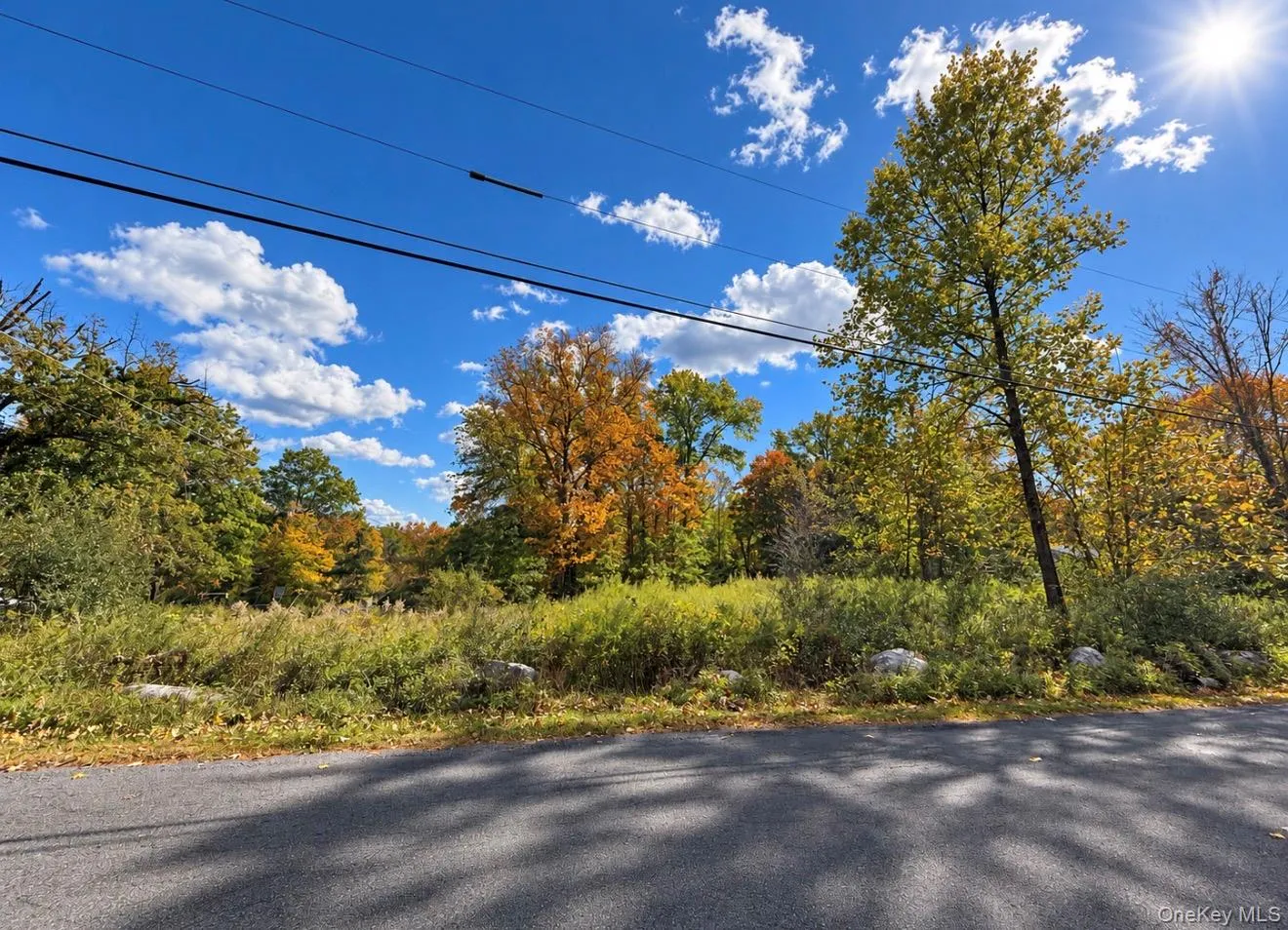 Rutsonville Road, Shawangunk, NY, ,Land,For Rent,Rutsonville,0,1061145 Rutsonville Road, Shawangunk, NY, ,Land,For Rent,Rutsonville,0,1061145