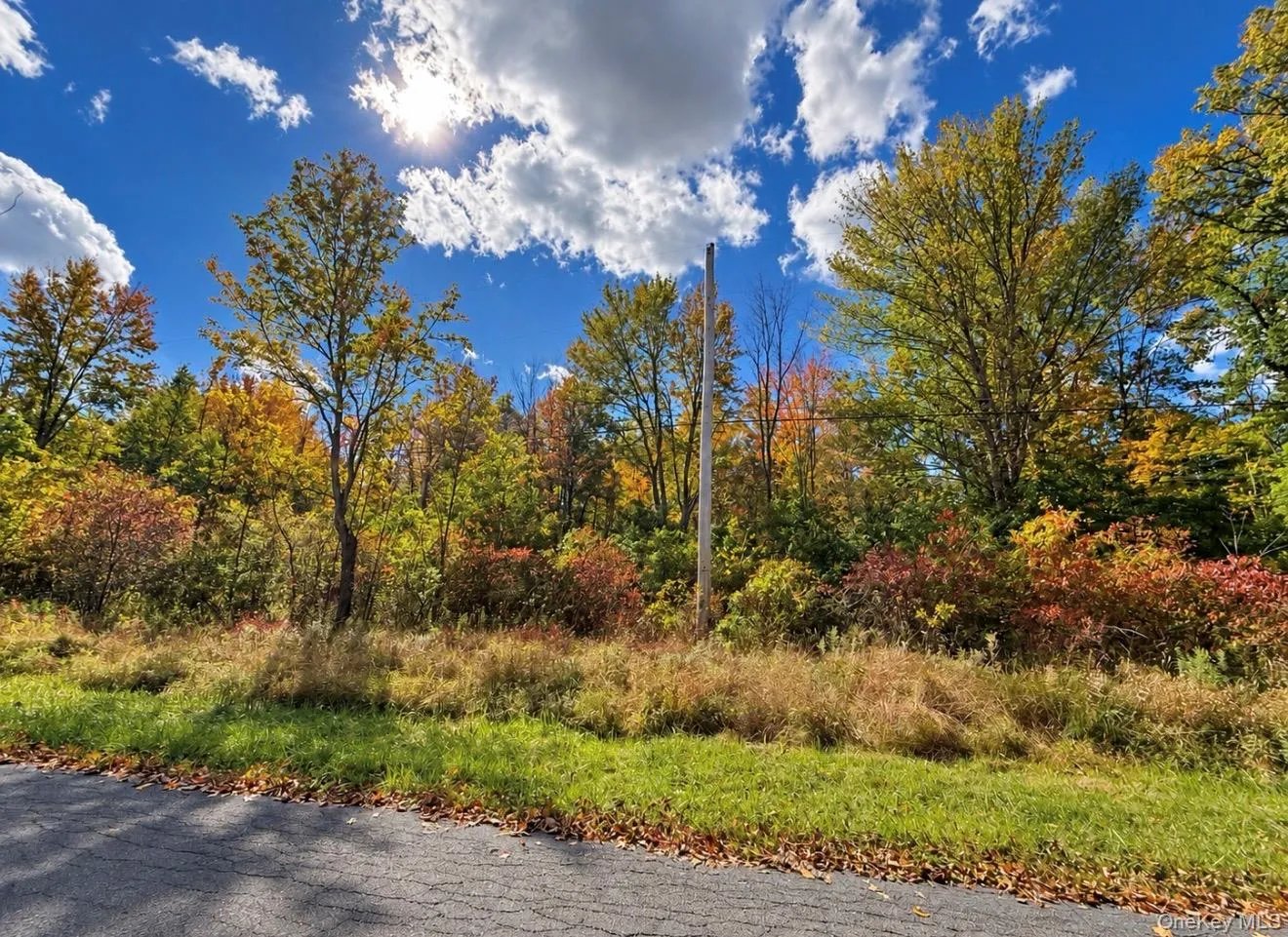 Rutsonville Road, Shawangunk, NY, ,Land,For Rent,Rutsonville,0,1061145 Rutsonville Road, Shawangunk, NY, ,Land,For Rent,Rutsonville,0,1061145