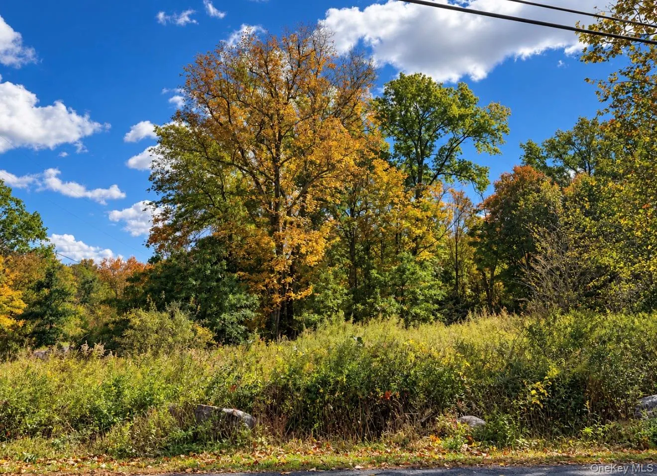Rutsonville Road, Shawangunk, NY, ,Land,For Rent,Rutsonville,0,1061145 Rutsonville Road, Shawangunk, NY, ,Land,For Rent,Rutsonville,0,1061145