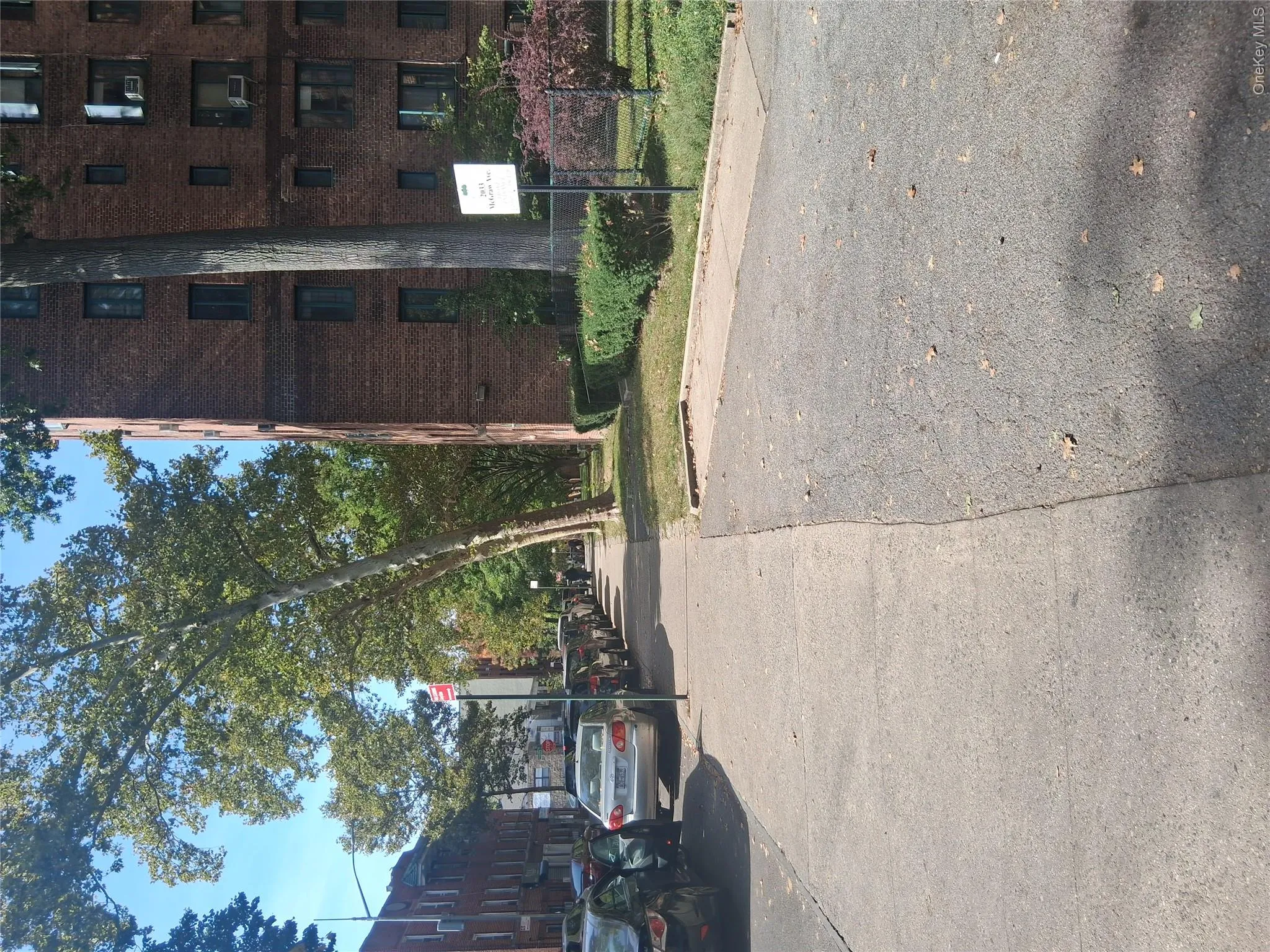 2033 Mc Graw Avenue, New York, NY, 1 Bedroom Bedrooms, 3 Rooms Rooms,1 BathroomBathrooms,Residential,For Rent,Mc Graw,0,1061174 2033 Mc Graw Avenue, New York, NY, 1 Bedroom Bedrooms, 3 Rooms Rooms,1 BathroomBathrooms,Residential,For Rent,Mc Graw,0,1061174