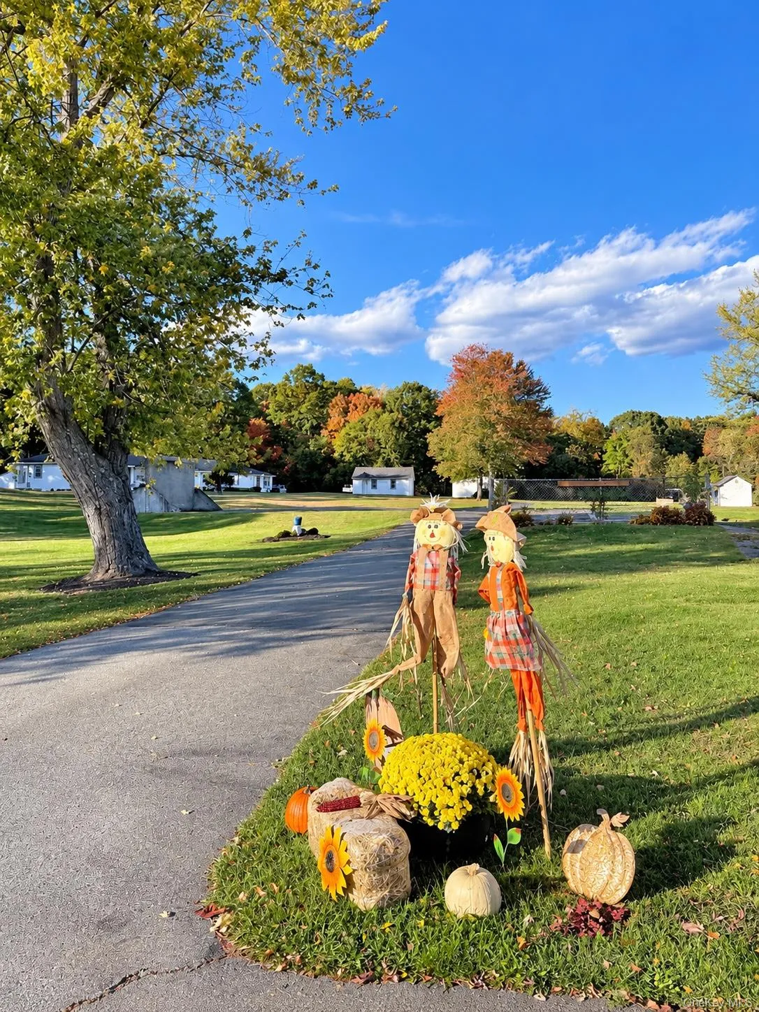 635 South Street, Plattekill, NY, 2 Bedroom Bedrooms, 5 Room Rooms,1 BathroomBathrooms,Residential Lease,For Rent,South,0,1061175 635 South Street, Plattekill, NY, 2 Bedroom Bedrooms, 5 Room Rooms,1 BathroomBathrooms,Residential Lease,For Rent,South,0,1061175