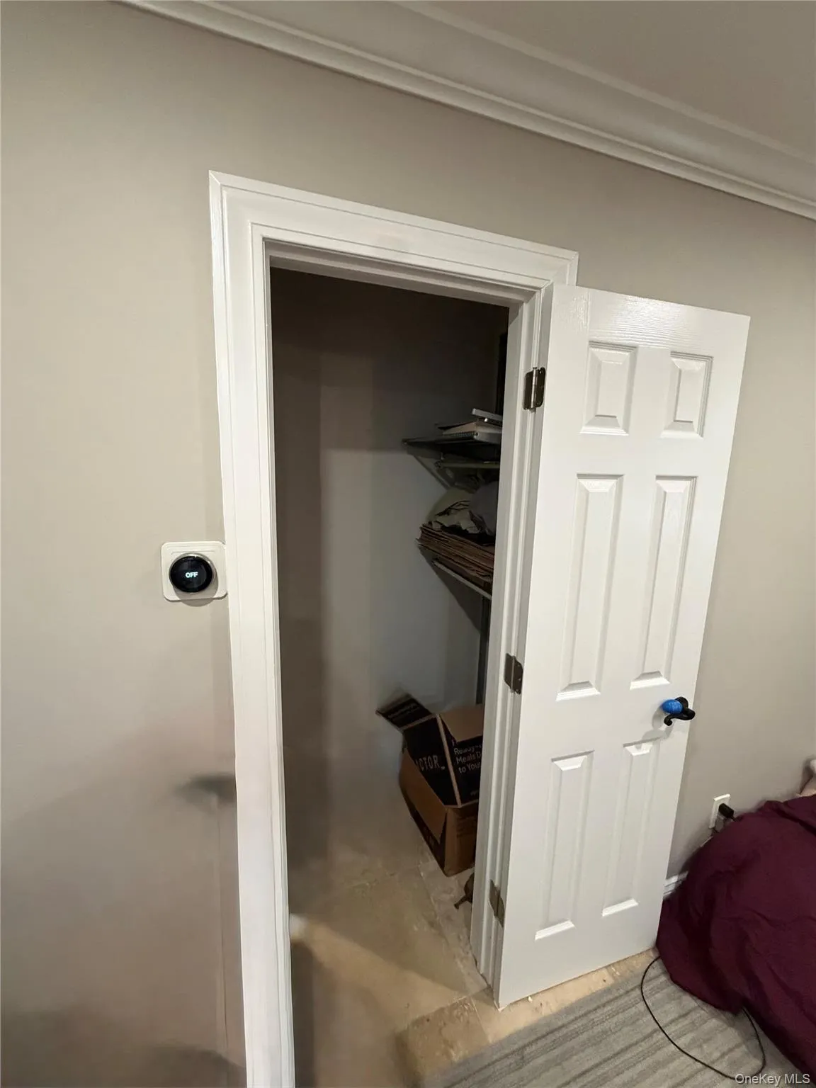 Large closet in living space Large closet in living space
