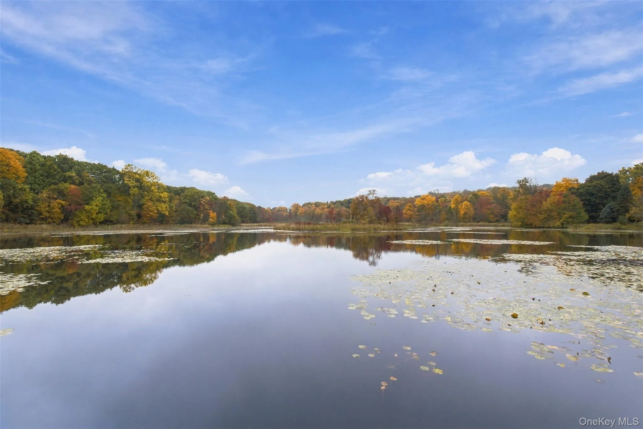 1 Shady Lane, Carmel, NY, 3 Bedrooms Bedrooms, 7 Rooms Rooms,1 BathroomBathrooms,Residential,For Rent,Shady,0,1061206 1 Shady Lane, Carmel, NY, 3 Bedrooms Bedrooms, 7 Rooms Rooms,1 BathroomBathrooms,Residential,For Rent,Shady,0,1061206