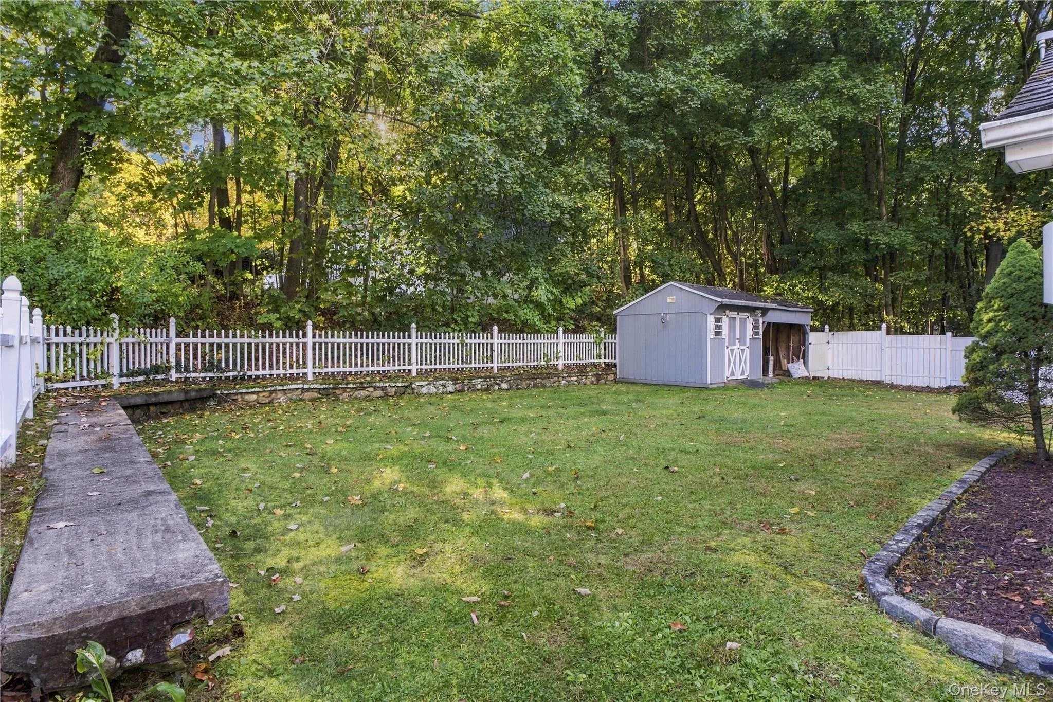 Yard with lawn and shed Yard with lawn and shed