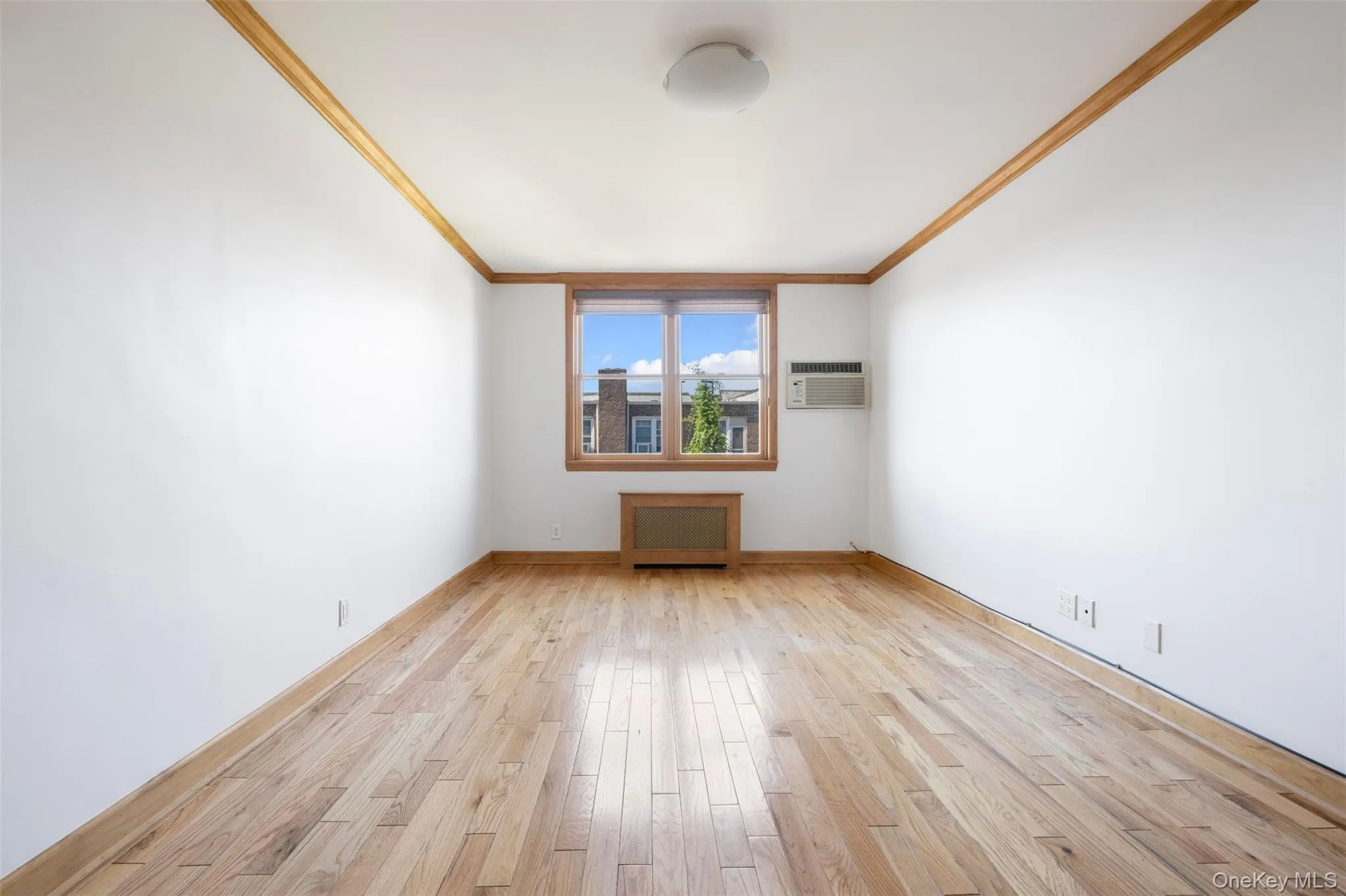 5844 81st Street, New York, NY, 2 Bedroom Bedrooms, 6 Room Rooms,1 BathroomBathrooms,Residential Lease,For Rent,81st,0,1061230 5844 81st Street, New York, NY, 2 Bedroom Bedrooms, 6 Room Rooms,1 BathroomBathrooms,Residential Lease,For Rent,81st,0,1061230