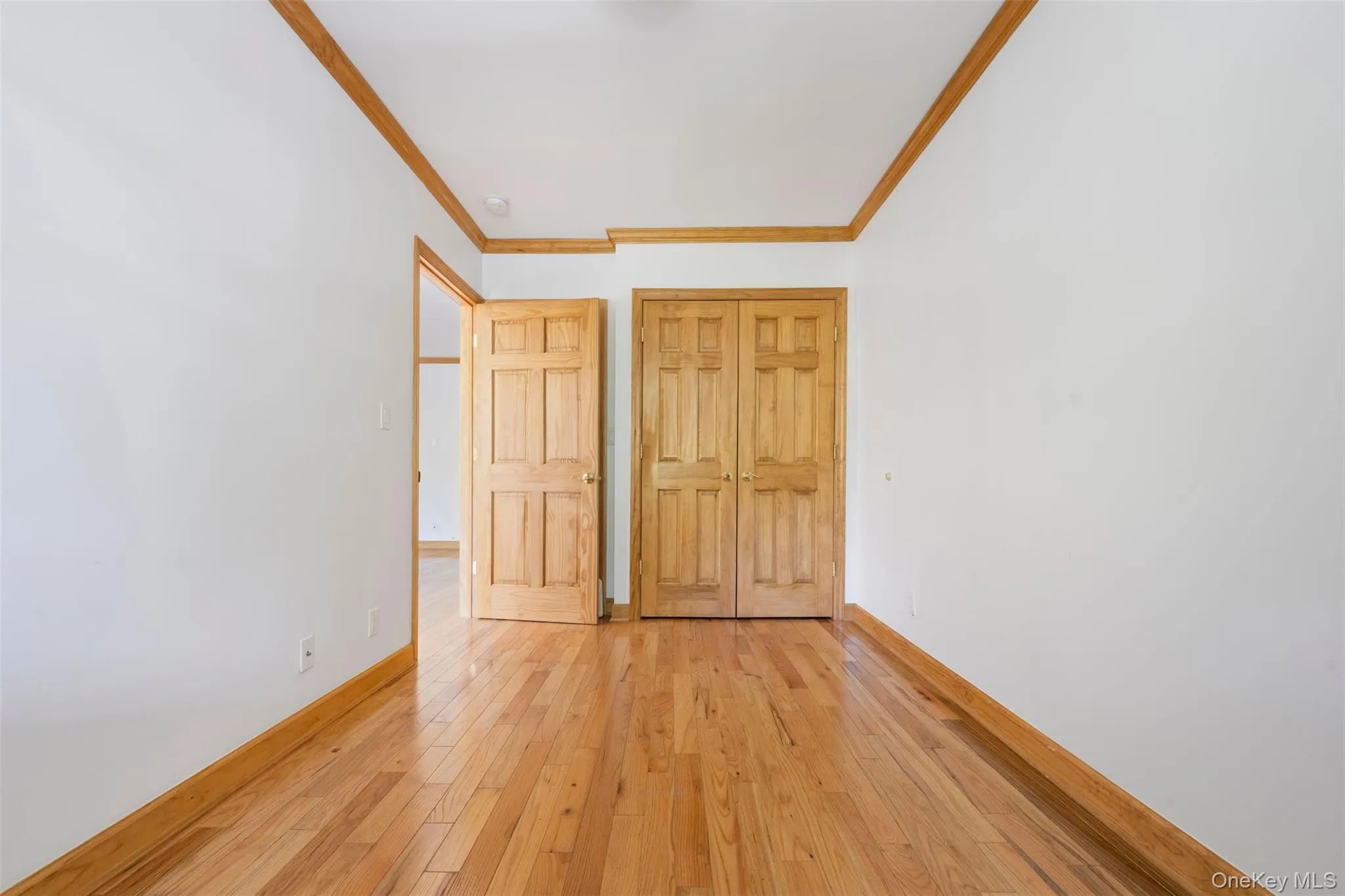 5844 81st Street, New York, NY, 2 Bedroom Bedrooms, 6 Room Rooms,1 BathroomBathrooms,Residential Lease,For Rent,81st,0,1061230 5844 81st Street, New York, NY, 2 Bedroom Bedrooms, 6 Room Rooms,1 BathroomBathrooms,Residential Lease,For Rent,81st,0,1061230