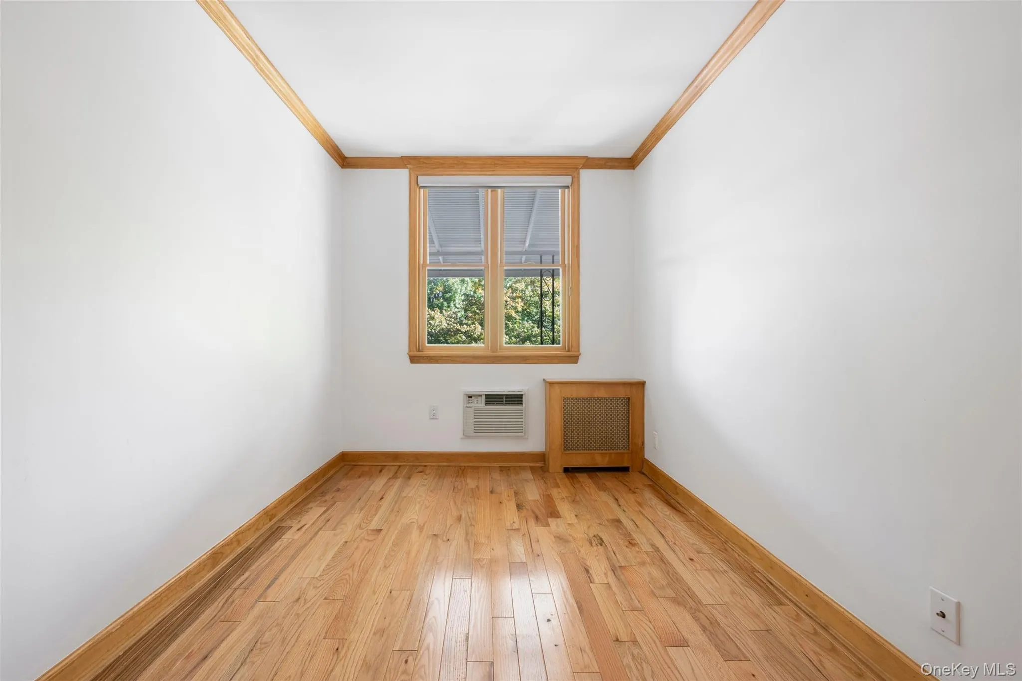 5844 81st Street, New York, NY, 2 Bedroom Bedrooms, 6 Room Rooms,1 BathroomBathrooms,Residential Lease,For Rent,81st,0,1061230 5844 81st Street, New York, NY, 2 Bedroom Bedrooms, 6 Room Rooms,1 BathroomBathrooms,Residential Lease,For Rent,81st,0,1061230