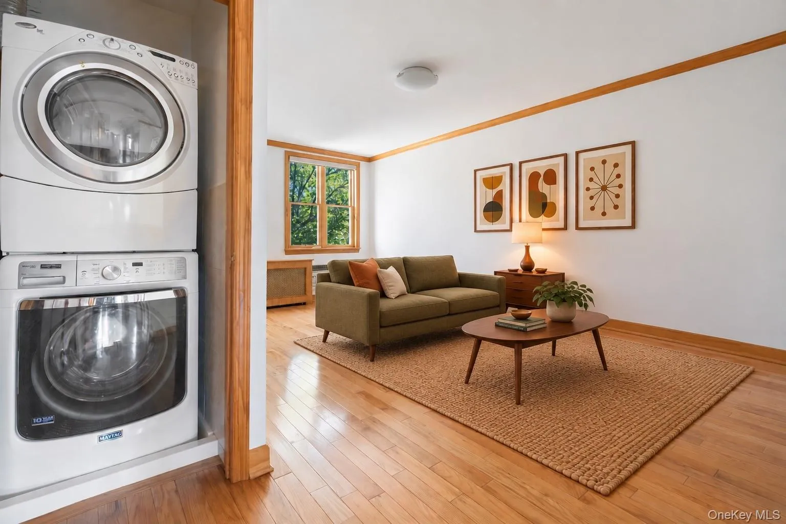 5844 81st Street, New York, NY, 2 Bedroom Bedrooms, 6 Room Rooms,1 BathroomBathrooms,Residential Lease,For Rent,81st,0,1061230 5844 81st Street, New York, NY, 2 Bedroom Bedrooms, 6 Room Rooms,1 BathroomBathrooms,Residential Lease,For Rent,81st,0,1061230