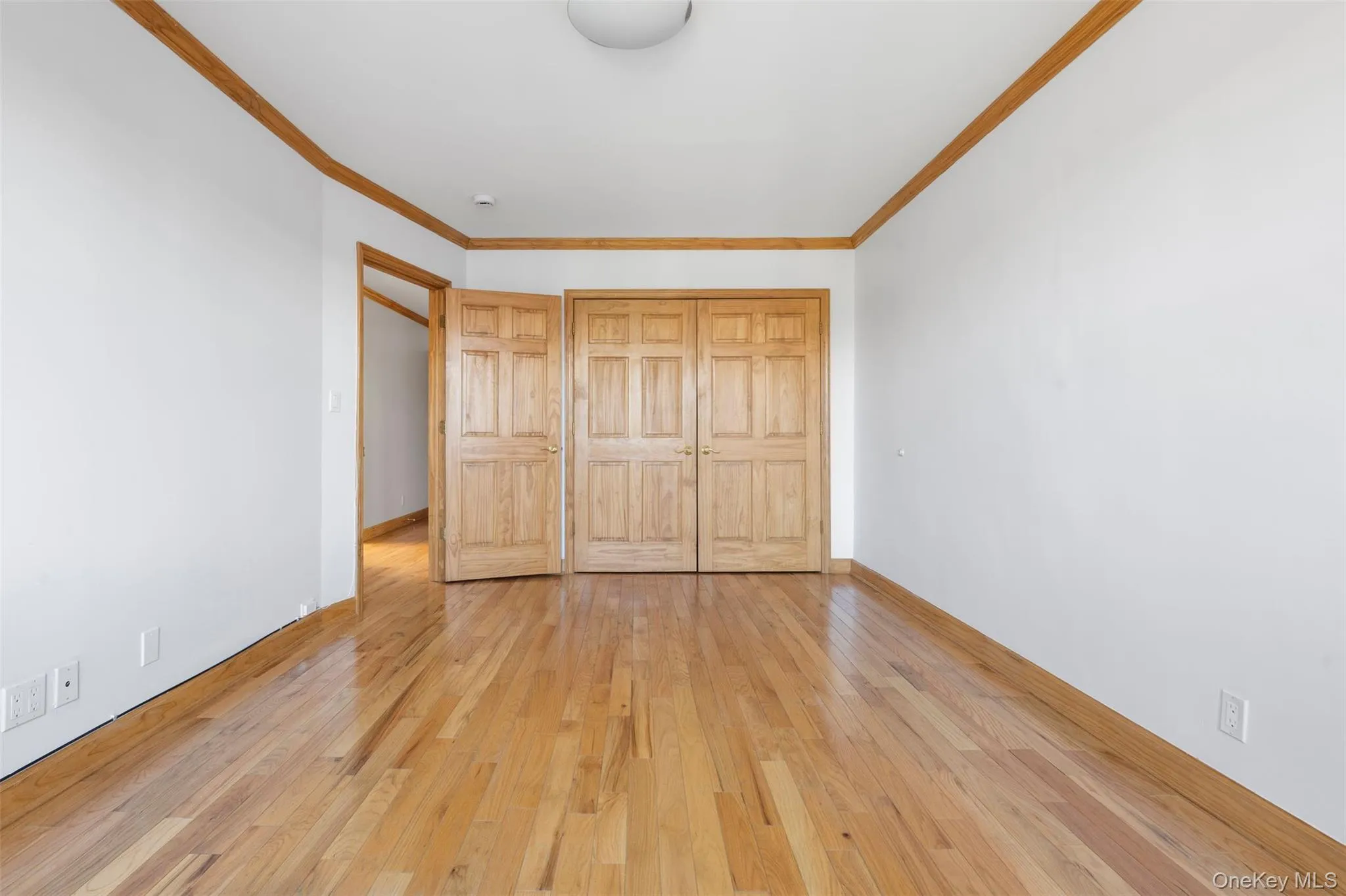 5844 81st Street, New York, NY, 2 Bedroom Bedrooms, 6 Room Rooms,1 BathroomBathrooms,Residential Lease,For Rent,81st,0,1061230 5844 81st Street, New York, NY, 2 Bedroom Bedrooms, 6 Room Rooms,1 BathroomBathrooms,Residential Lease,For Rent,81st,0,1061230