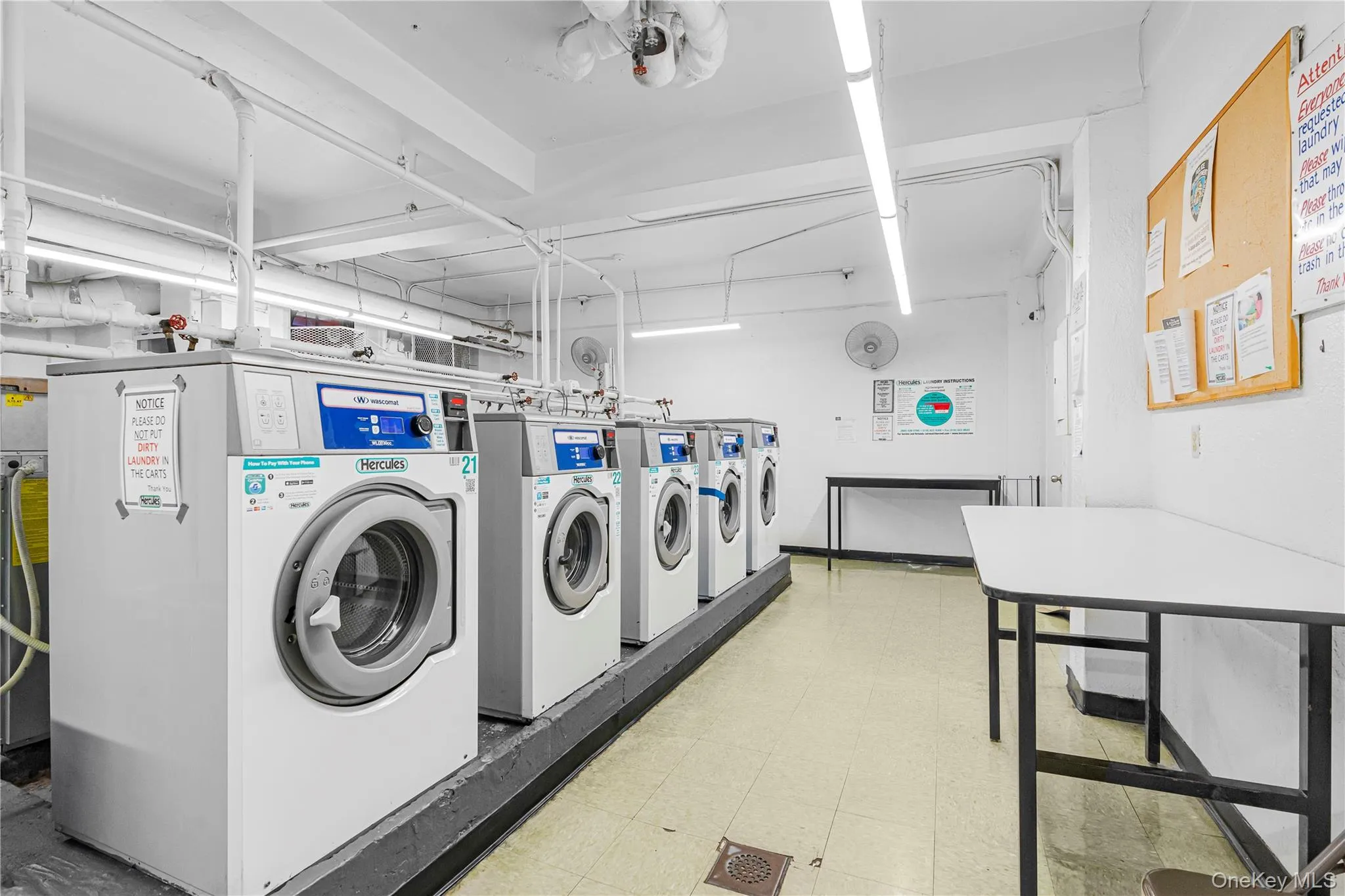 8915 Parsons Boulevard, New York, NY, 3 Rooms Rooms,Residential,For Rent,Parsons,0,1061271 8915 Parsons Boulevard, New York, NY, 3 Rooms Rooms,Residential,For Rent,Parsons,0,1061271