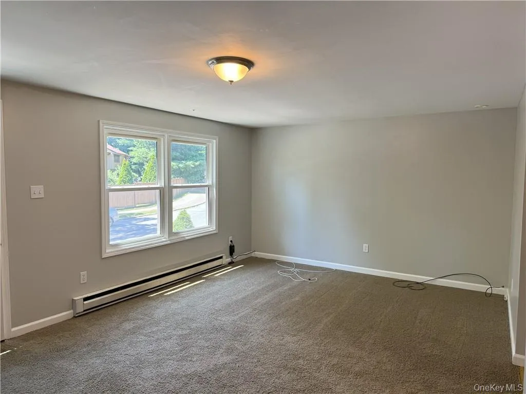 Carpeted spare room featuring baseboard heating Carpeted spare room featuring baseboard heating