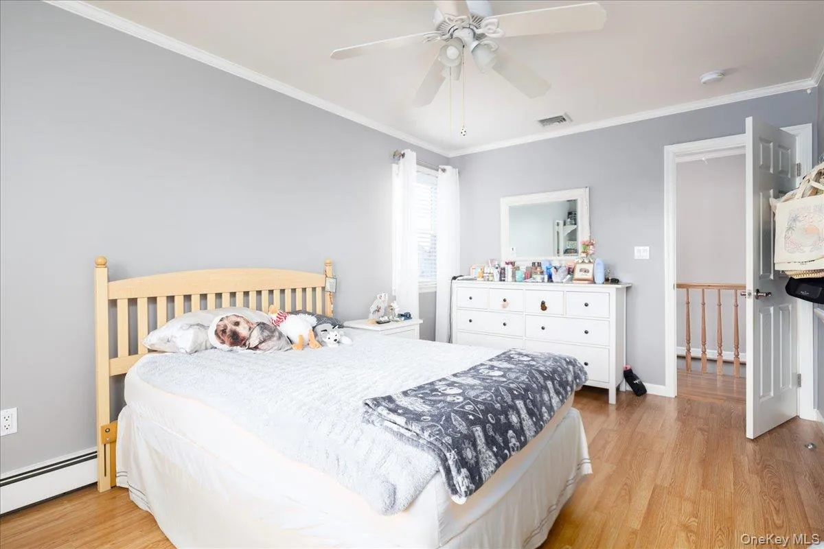 206 Grange Street, Hempstead, NY, 4 Bedrooms Bedrooms, 10 Rooms Rooms,2 BathroomsBathrooms,Residential,For Rent,Grange,0,1061458 206 Grange Street, Hempstead, NY, 4 Bedrooms Bedrooms, 10 Rooms Rooms,2 BathroomsBathrooms,Residential,For Rent,Grange,0,1061458