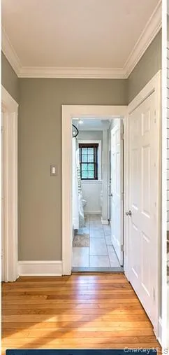 1456 Boston Post Road, Mamaroneck, NY, 1 Bedroom Bedrooms, 3 Room Rooms,1 BathroomBathrooms,Residential Lease,For Rent,Boston Post,0,1061466 1456 Boston Post Road, Mamaroneck, NY, 1 Bedroom Bedrooms, 3 Room Rooms,1 BathroomBathrooms,Residential Lease,For Rent,Boston Post,0,1061466