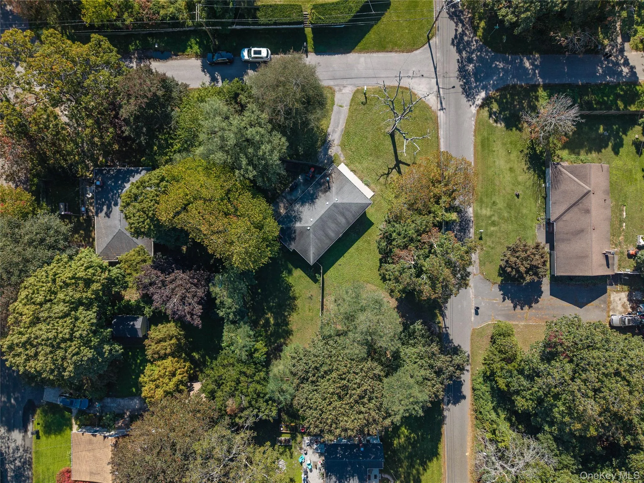 109 Dogwood Road, Brookhaven, NY, 3 Bedrooms Bedrooms, 5 Rooms Rooms,1 BathroomBathrooms,Residential,For Rent,Dogwood,0,1061565 109 Dogwood Road, Brookhaven, NY, 3 Bedrooms Bedrooms, 5 Rooms Rooms,1 BathroomBathrooms,Residential,For Rent,Dogwood,0,1061565