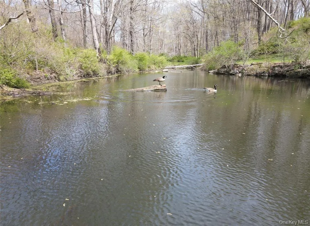 54 Cross Pond Road, Lewisboro, NY, 4 Bedrooms Bedrooms, 11 Rooms Rooms,4 BathroomsBathrooms,Residential,For Rent,Cross Pond,0,1061606 54 Cross Pond Road, Lewisboro, NY, 4 Bedrooms Bedrooms, 11 Rooms Rooms,4 BathroomsBathrooms,Residential,For Rent,Cross Pond,0,1061606