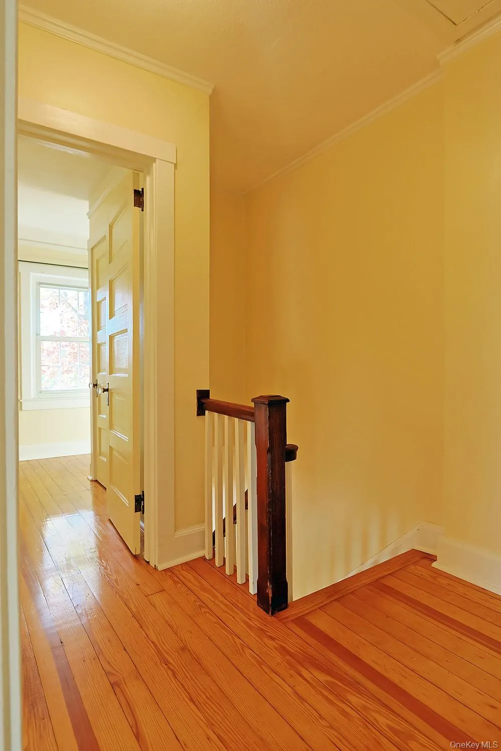 10 Wilson Street, Newburgh (city), NY, 3 Bedrooms Bedrooms, 6 Rooms Rooms,1 BathroomBathrooms,Residential,For Rent,Wilson,0,1061623 10 Wilson Street, Newburgh (city), NY, 3 Bedrooms Bedrooms, 6 Rooms Rooms,1 BathroomBathrooms,Residential,For Rent,Wilson,0,1061623