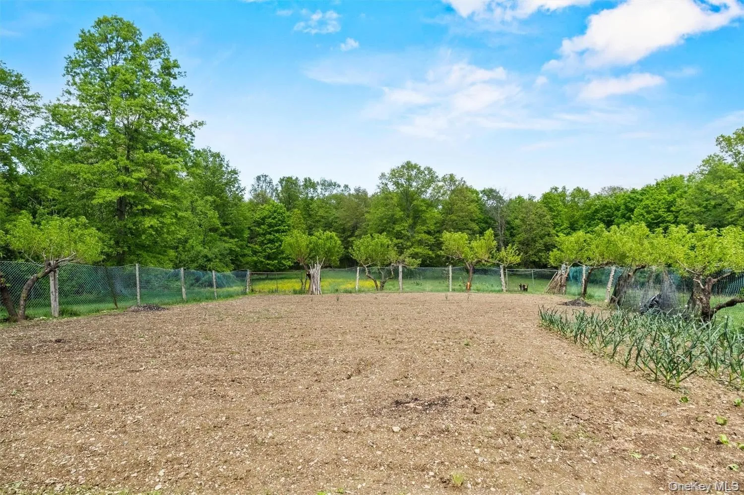 20 Goshen Road, Goshen, NY, 4 Bedrooms Bedrooms, 14 Rooms Rooms,2 BathroomsBathrooms,Residential,For Rent,Goshen,0,1061638 20 Goshen Road, Goshen, NY, 4 Bedrooms Bedrooms, 14 Rooms Rooms,2 BathroomsBathrooms,Residential,For Rent,Goshen,0,1061638