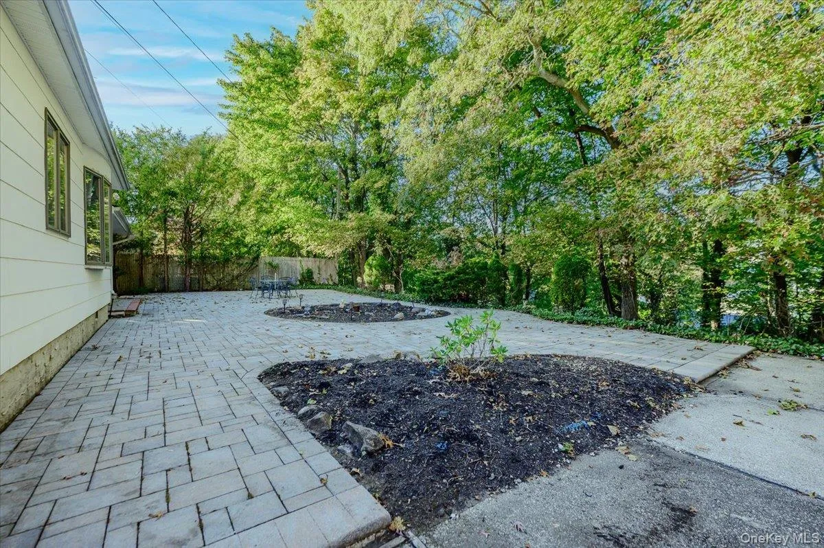 Backyard Backyard