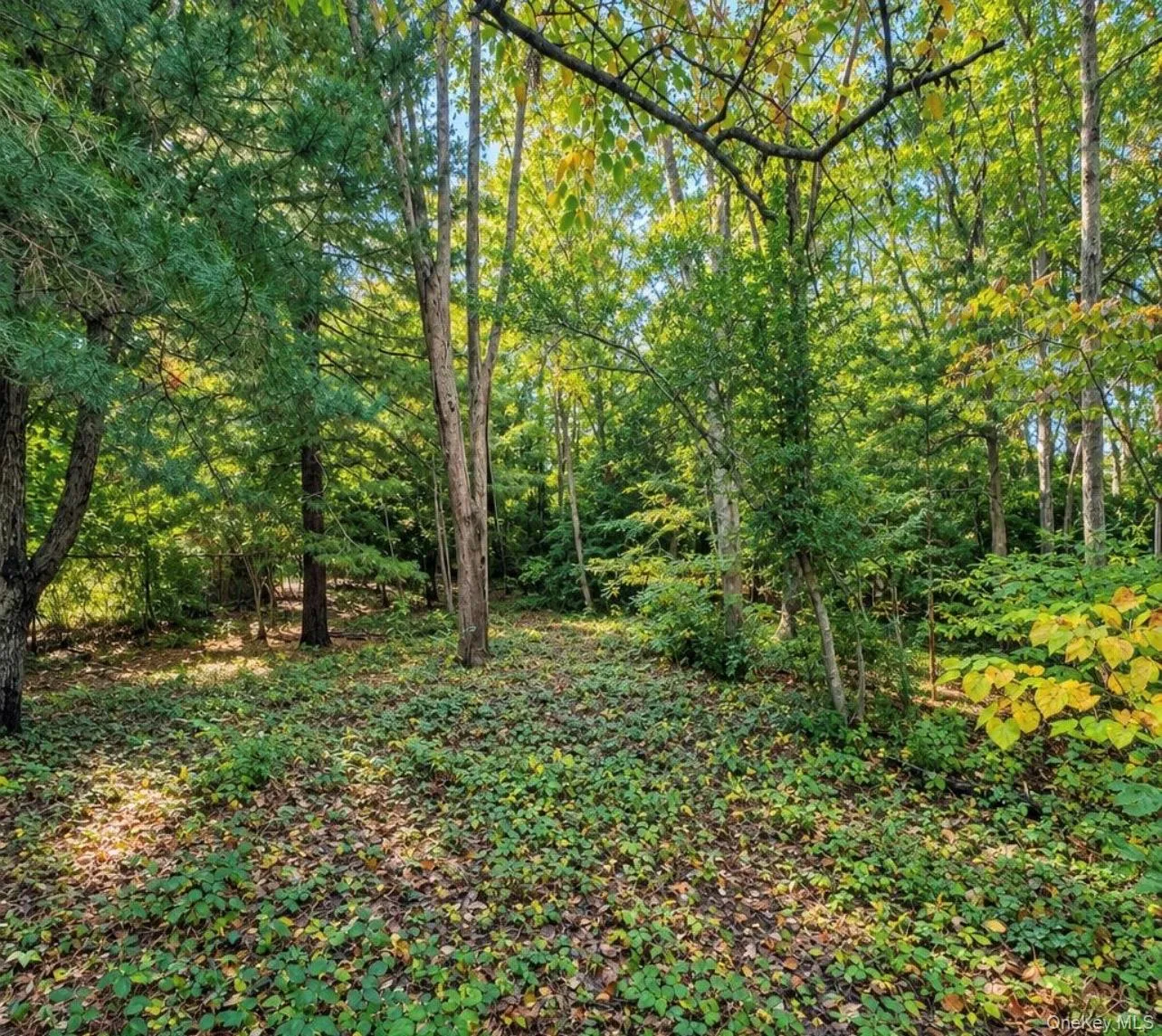 67 Smith Lane, Brookhaven, NY, 4 Bedrooms Bedrooms, 9 Rooms Rooms,2 BathroomsBathrooms,Residential,For Rent,Smith,0,1061833 67 Smith Lane, Brookhaven, NY, 4 Bedrooms Bedrooms, 9 Rooms Rooms,2 BathroomsBathrooms,Residential,For Rent,Smith,0,1061833