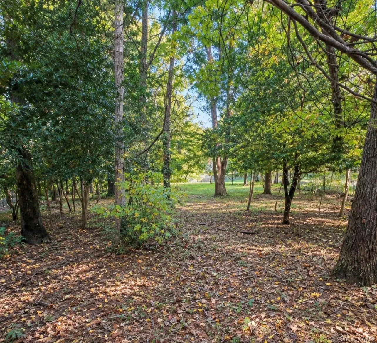 67 Smith Lane, Brookhaven, NY, 4 Bedrooms Bedrooms, 9 Rooms Rooms,2 BathroomsBathrooms,Residential,For Rent,Smith,0,1061833 67 Smith Lane, Brookhaven, NY, 4 Bedrooms Bedrooms, 9 Rooms Rooms,2 BathroomsBathrooms,Residential,For Rent,Smith,0,1061833