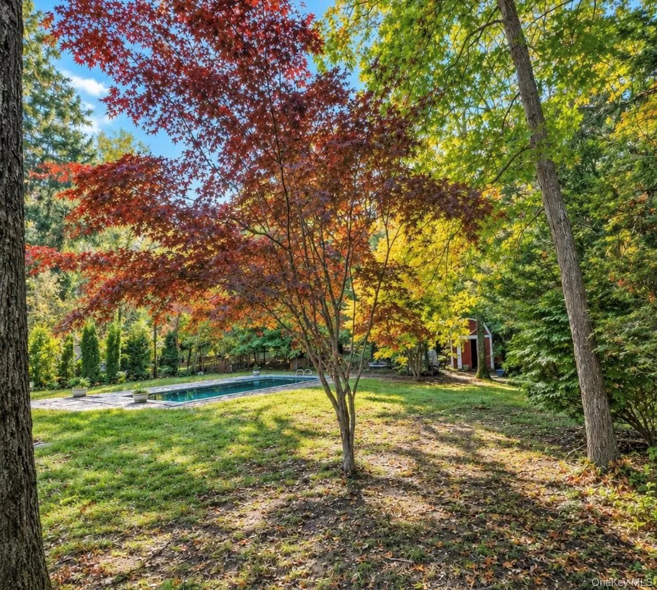 67 Smith Lane, Brookhaven, NY, 4 Bedrooms Bedrooms, 9 Rooms Rooms,2 BathroomsBathrooms,Residential,For Rent,Smith,0,1061833 67 Smith Lane, Brookhaven, NY, 4 Bedrooms Bedrooms, 9 Rooms Rooms,2 BathroomsBathrooms,Residential,For Rent,Smith,0,1061833