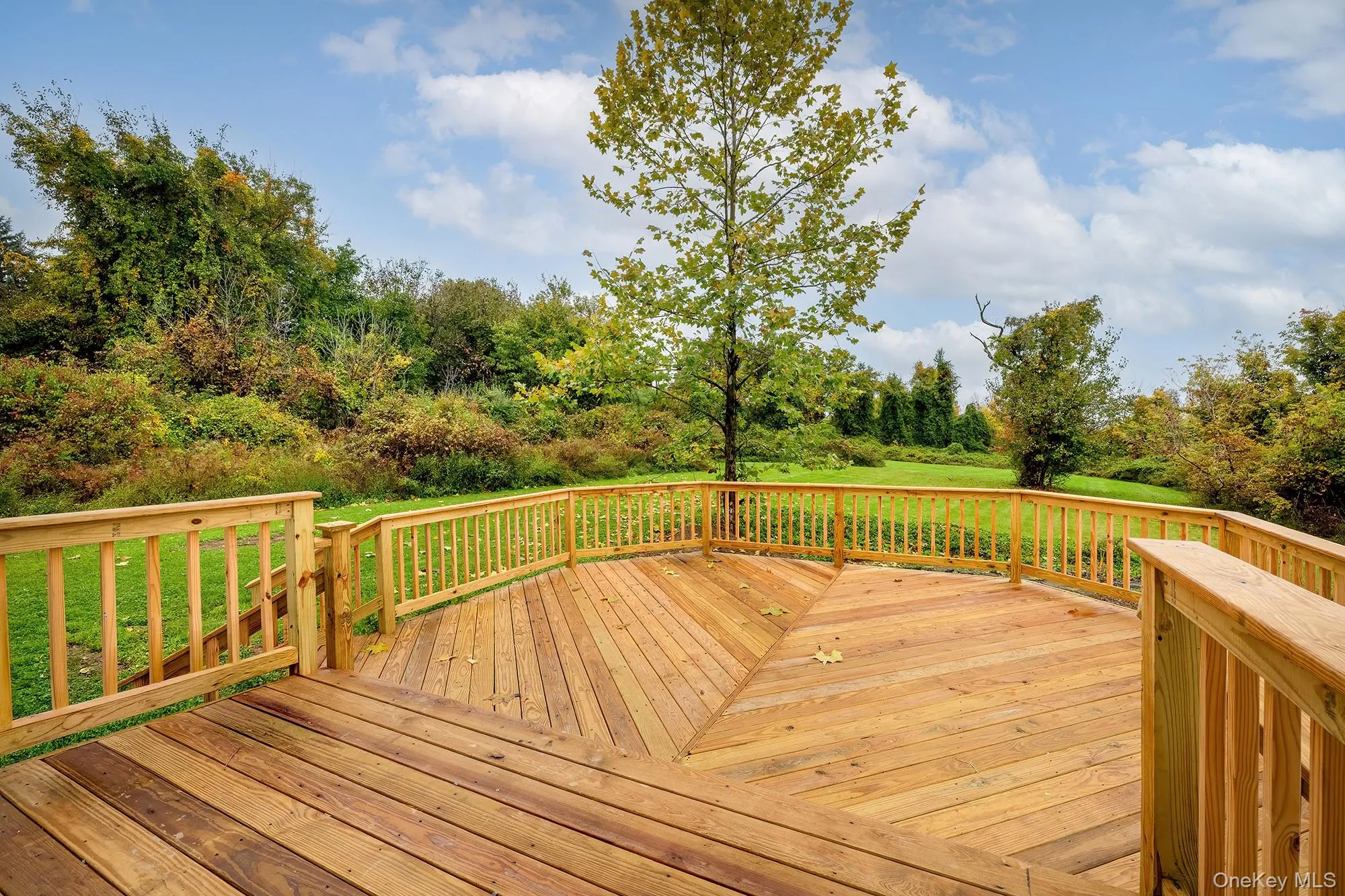Back Deck Back Deck
