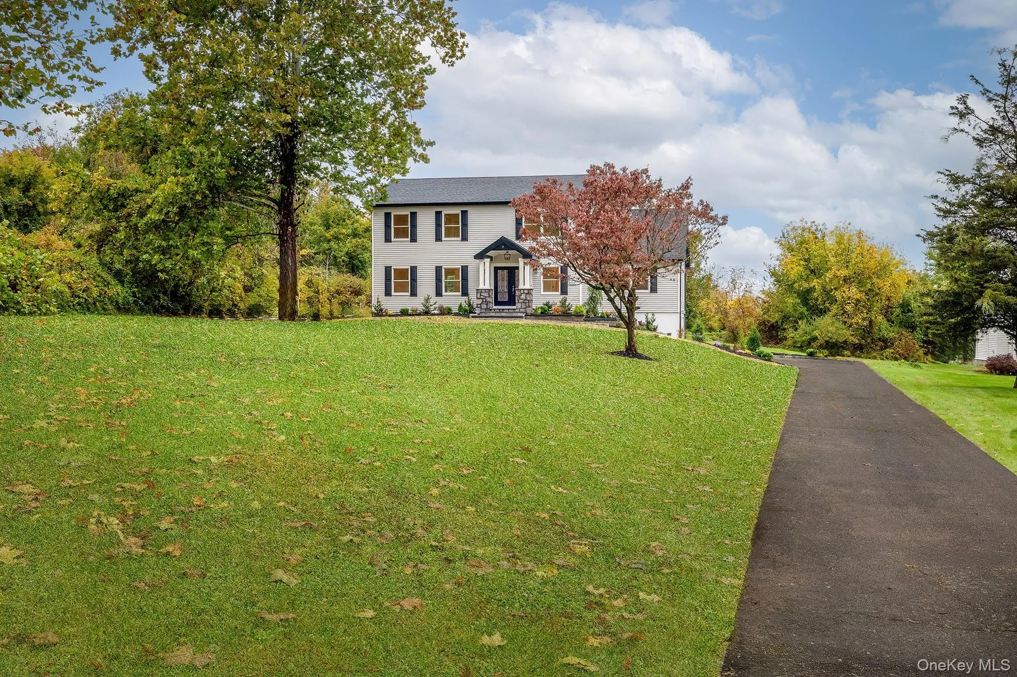 Large Front Yard & Driveway Large Front Yard & Driveway