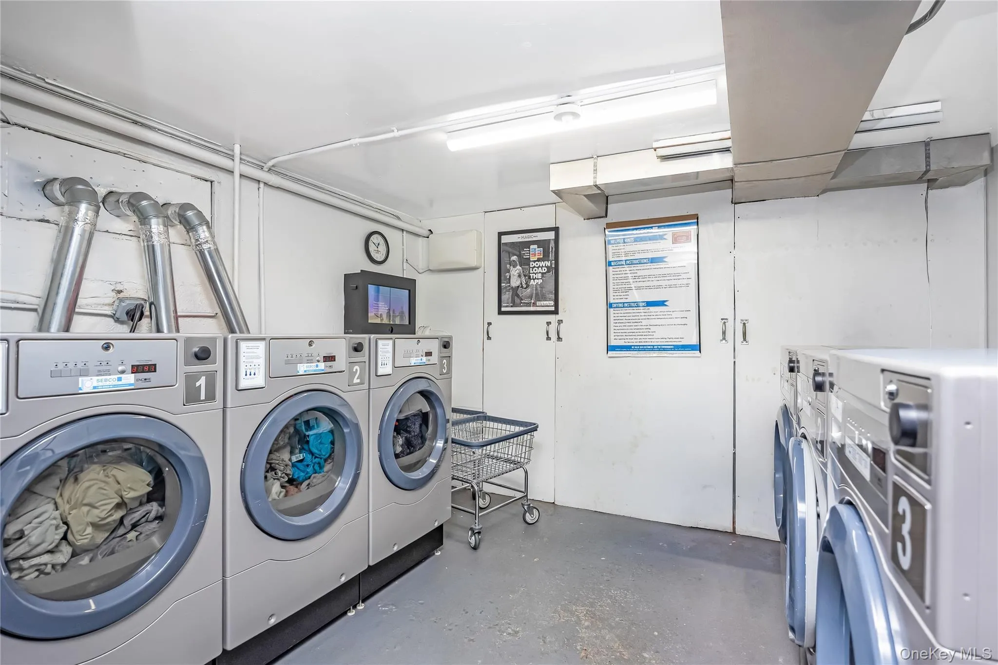 83-36 Beverly Road, New York, NY, 2 Bedrooms Bedrooms, 4 Rooms Rooms,1 BathroomBathrooms,Residential,For Rent,Beverly,0,1061958 83-36 Beverly Road, New York, NY, 2 Bedrooms Bedrooms, 4 Rooms Rooms,1 BathroomBathrooms,Residential,For Rent,Beverly,0,1061958