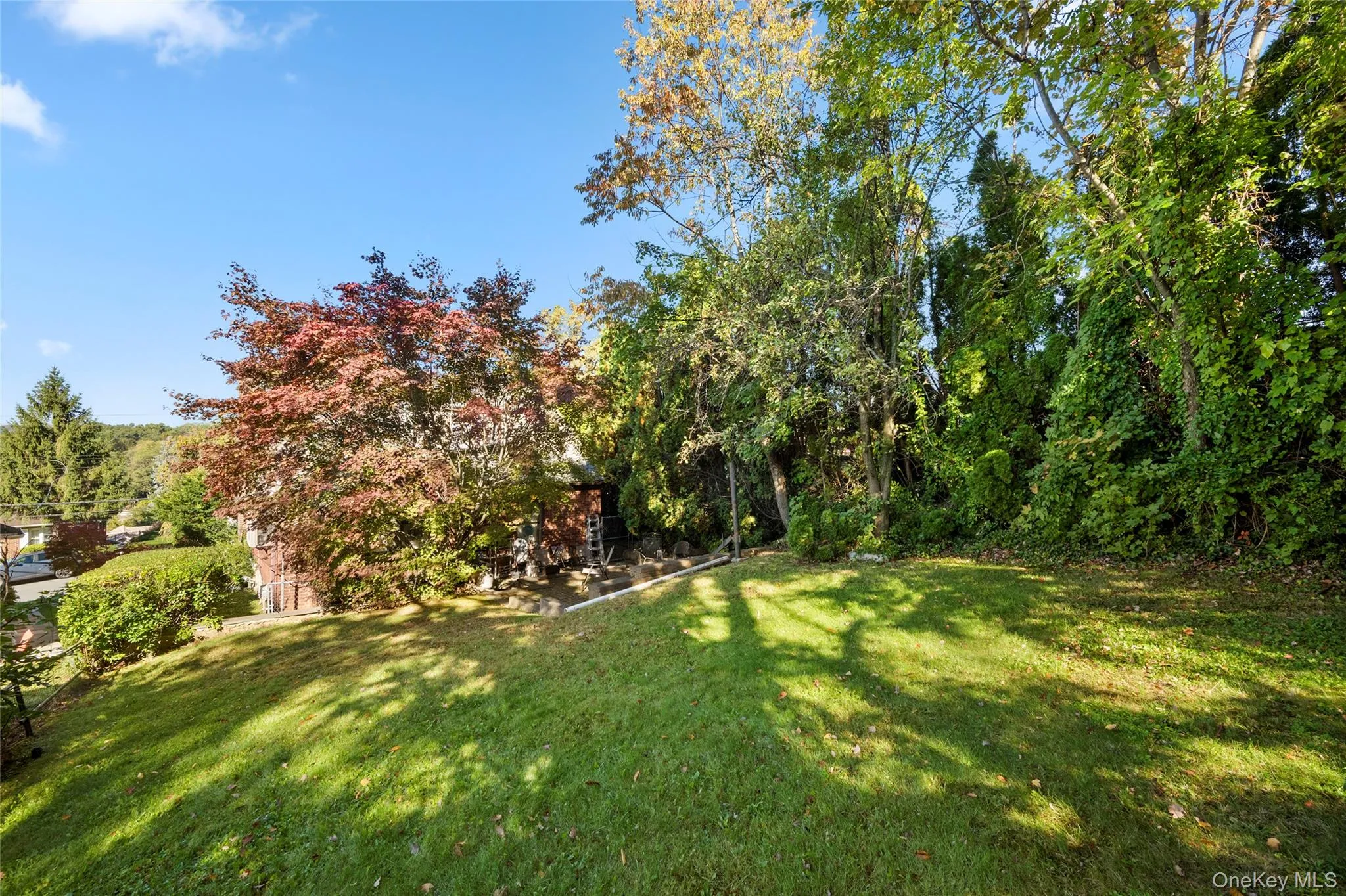Expansive sloped lawn featuring mature trees, established foliage, and diverse shrubbery Expansive sloped lawn featuring mature trees, established foliage, and diverse shrubbery
