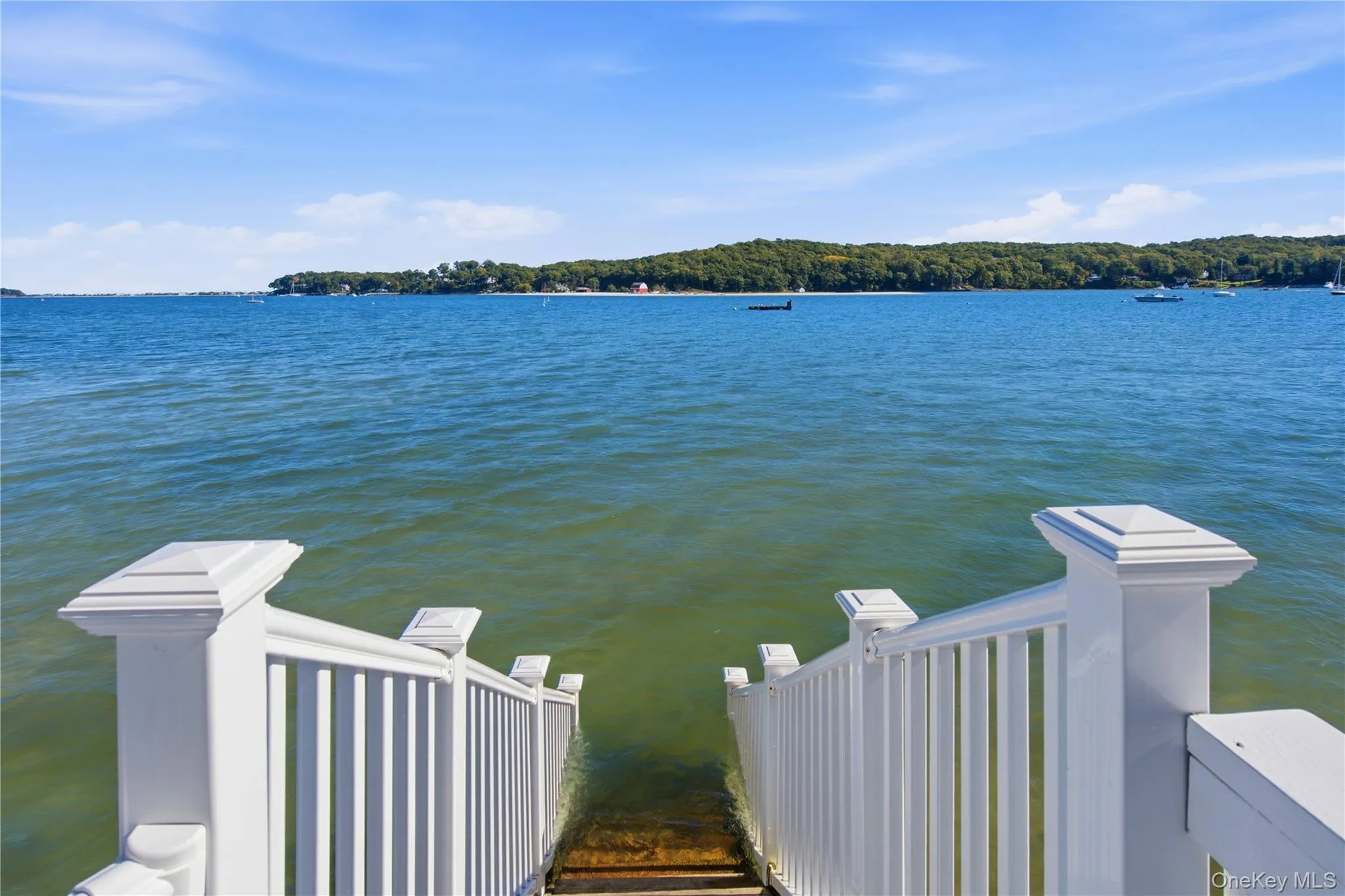 565 Mc Kinley Terrace, Huntington, NY, 5 Bedrooms Bedrooms, 11 Rooms Rooms,3 BathroomsBathrooms,Residential,For Rent,Mc Kinley,0,1062026 565 Mc Kinley Terrace, Huntington, NY, 5 Bedrooms Bedrooms, 11 Rooms Rooms,3 BathroomsBathrooms,Residential,For Rent,Mc Kinley,0,1062026