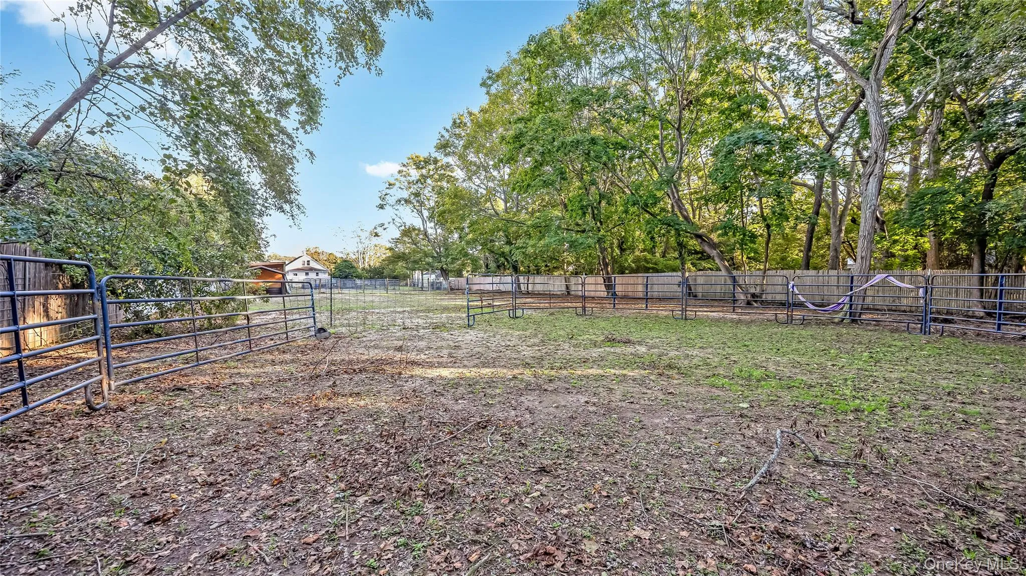 56 Orchard Road, Brookhaven, NY, 3 Bedrooms Bedrooms, 7 Rooms Rooms,1 BathroomBathrooms,Residential,For Rent,Orchard,0,1062051 56 Orchard Road, Brookhaven, NY, 3 Bedrooms Bedrooms, 7 Rooms Rooms,1 BathroomBathrooms,Residential,For Rent,Orchard,0,1062051