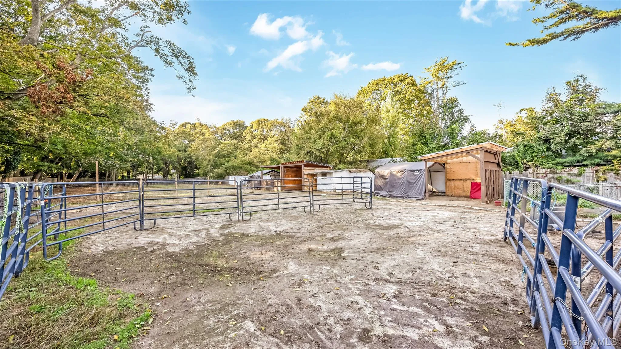 56 Orchard Road, Brookhaven, NY, 3 Bedrooms Bedrooms, 7 Rooms Rooms,1 BathroomBathrooms,Residential,For Rent,Orchard,0,1062051 56 Orchard Road, Brookhaven, NY, 3 Bedrooms Bedrooms, 7 Rooms Rooms,1 BathroomBathrooms,Residential,For Rent,Orchard,0,1062051