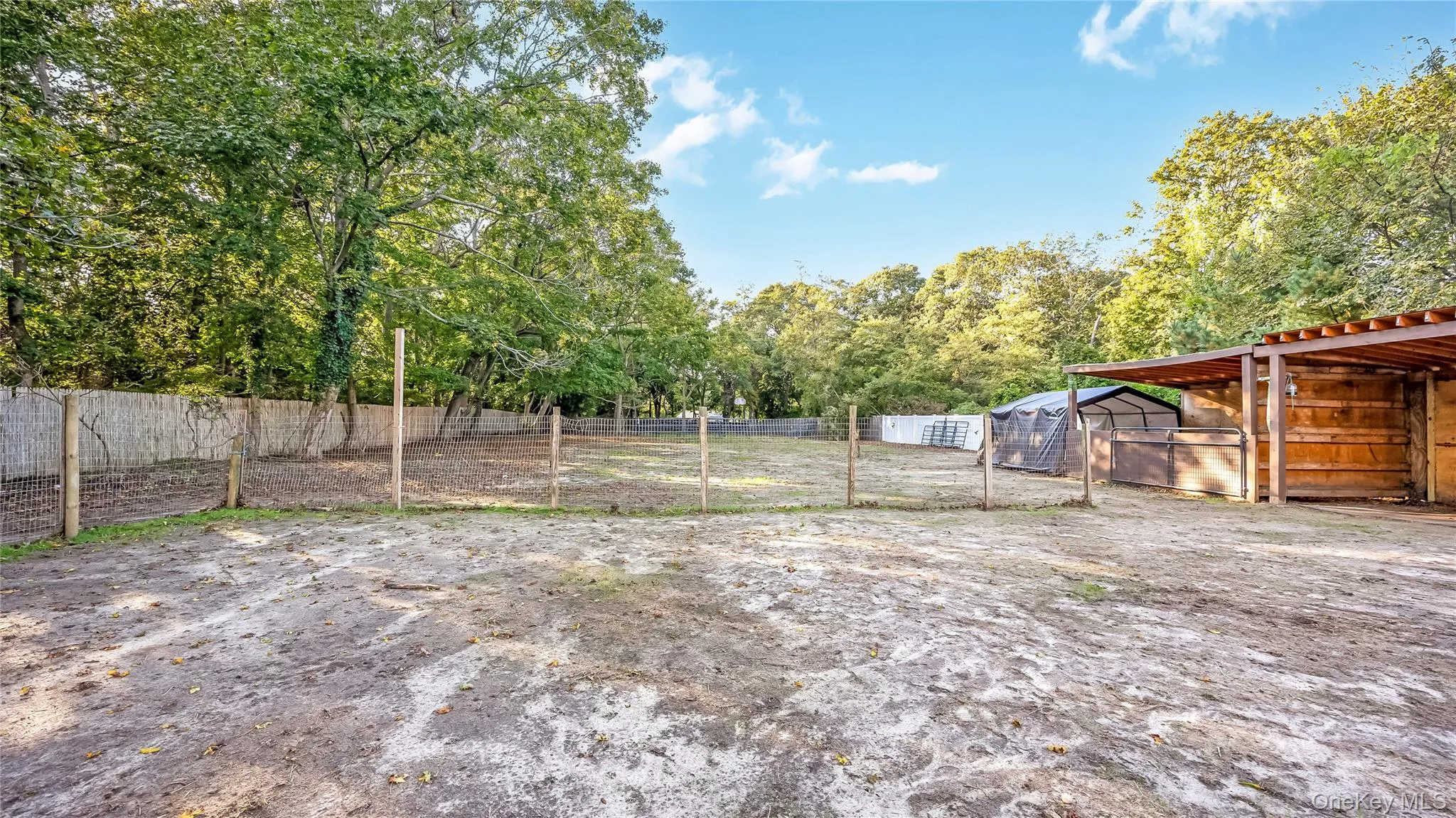 56 Orchard Road, Brookhaven, NY, 3 Bedrooms Bedrooms, 7 Rooms Rooms,1 BathroomBathrooms,Residential,For Rent,Orchard,0,1062051 56 Orchard Road, Brookhaven, NY, 3 Bedrooms Bedrooms, 7 Rooms Rooms,1 BathroomBathrooms,Residential,For Rent,Orchard,0,1062051