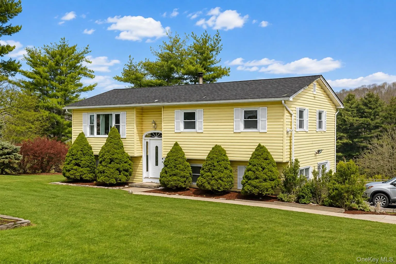 236 Prospect Road, Blooming Grove, NY, 3 Bedrooms Bedrooms, 7 Rooms Rooms,1 BathroomBathrooms,Residential,For Rent,Prospect,0,1062057 236 Prospect Road, Blooming Grove, NY, 3 Bedrooms Bedrooms, 7 Rooms Rooms,1 BathroomBathrooms,Residential,For Rent,Prospect,0,1062057