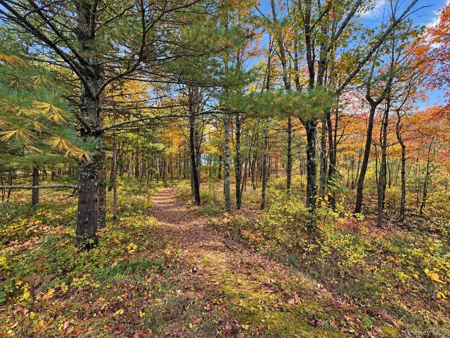 Woodland path connects house and barn Woodland path connects house and barn