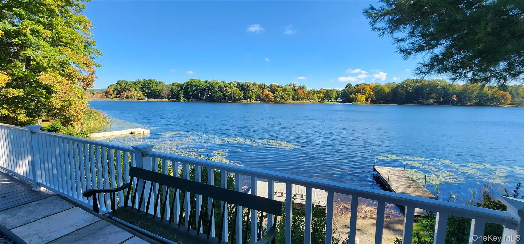 41 Antler Club Road, Pine Plains, NY, 4 Bedrooms Bedrooms, 9 Rooms Rooms,2 BathroomsBathrooms,Residential,For Rent,Antler Club,0,1062120 41 Antler Club Road, Pine Plains, NY, 4 Bedrooms Bedrooms, 9 Rooms Rooms,2 BathroomsBathrooms,Residential,For Rent,Antler Club,0,1062120