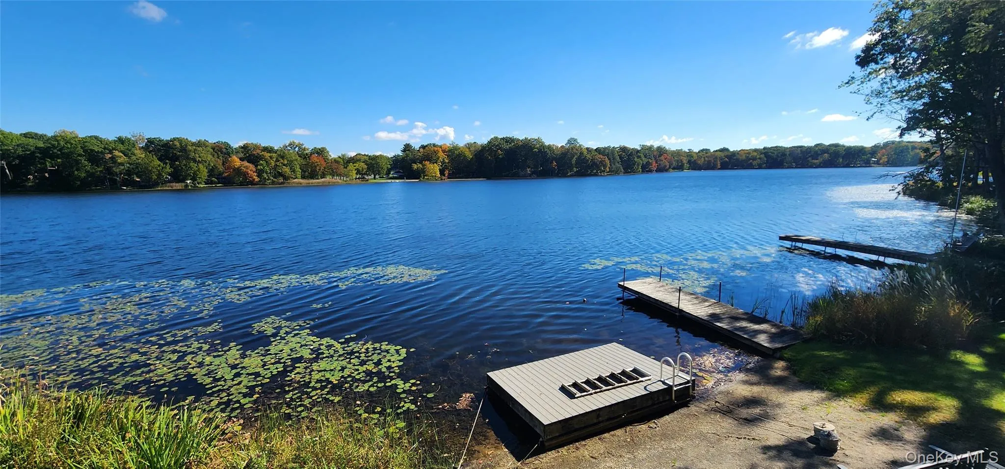 41 Antler Club Road, Pine Plains, NY, 4 Bedrooms Bedrooms, 9 Rooms Rooms,2 BathroomsBathrooms,Residential,For Rent,Antler Club,0,1062120 41 Antler Club Road, Pine Plains, NY, 4 Bedrooms Bedrooms, 9 Rooms Rooms,2 BathroomsBathrooms,Residential,For Rent,Antler Club,0,1062120
