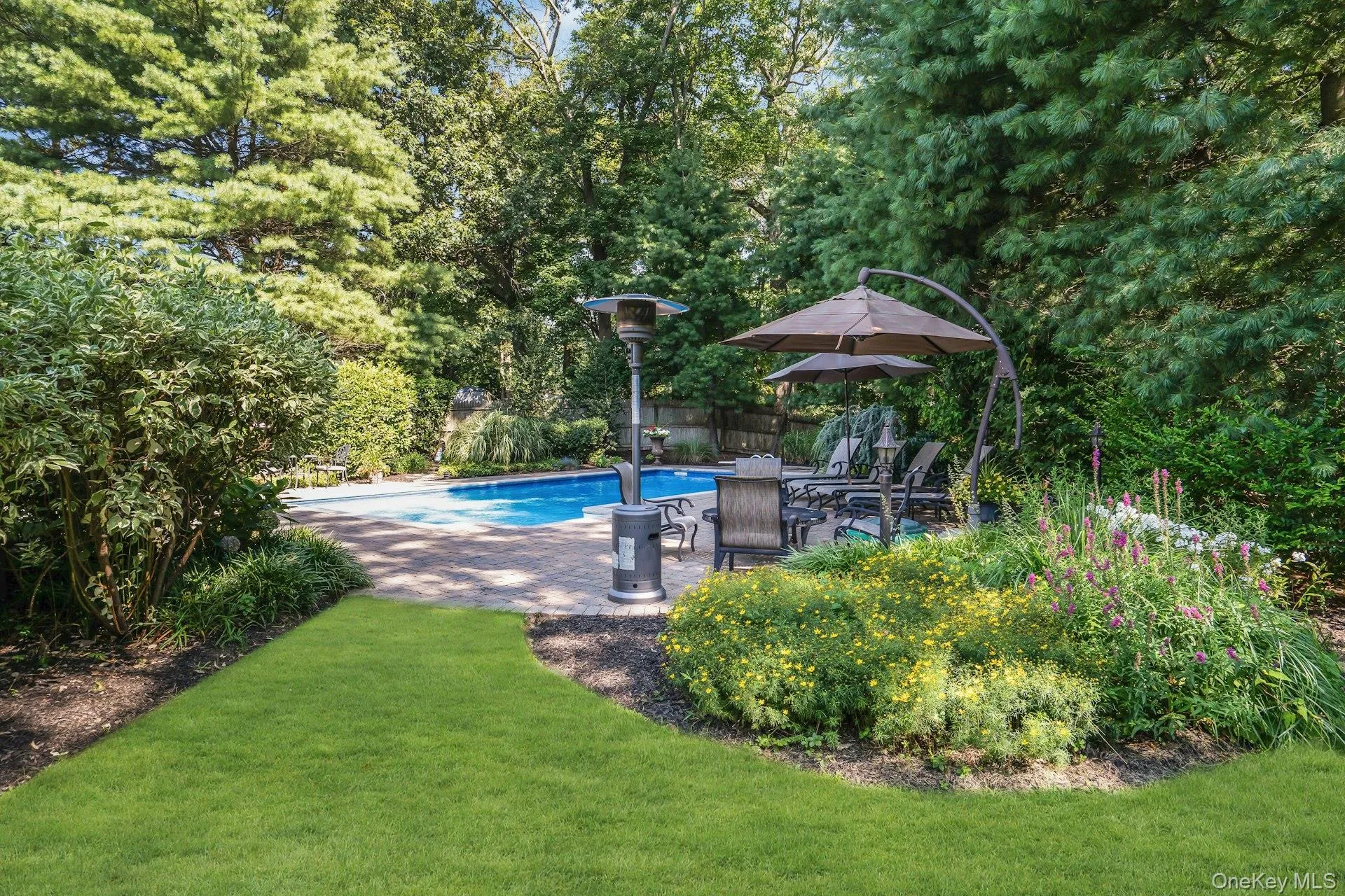 Backyard oasis. Backyard oasis.