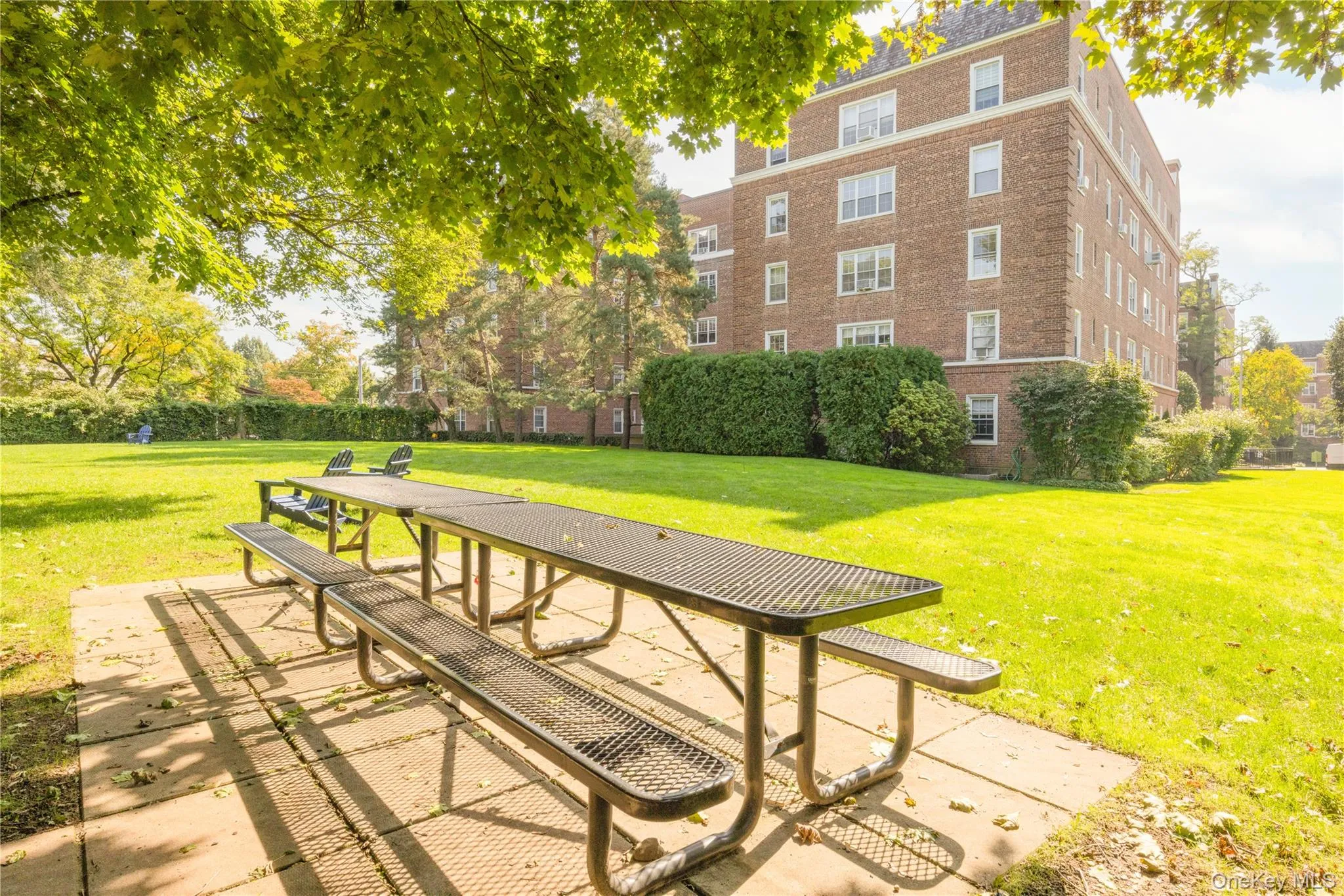 5 Midland Gardens, Eastchester, NY, 1 Bedroom Bedrooms, 3 Rooms Rooms,1 BathroomBathrooms,Residential,For Rent,Midland,0,1062342 5 Midland Gardens, Eastchester, NY, 1 Bedroom Bedrooms, 3 Rooms Rooms,1 BathroomBathrooms,Residential,For Rent,Midland,0,1062342