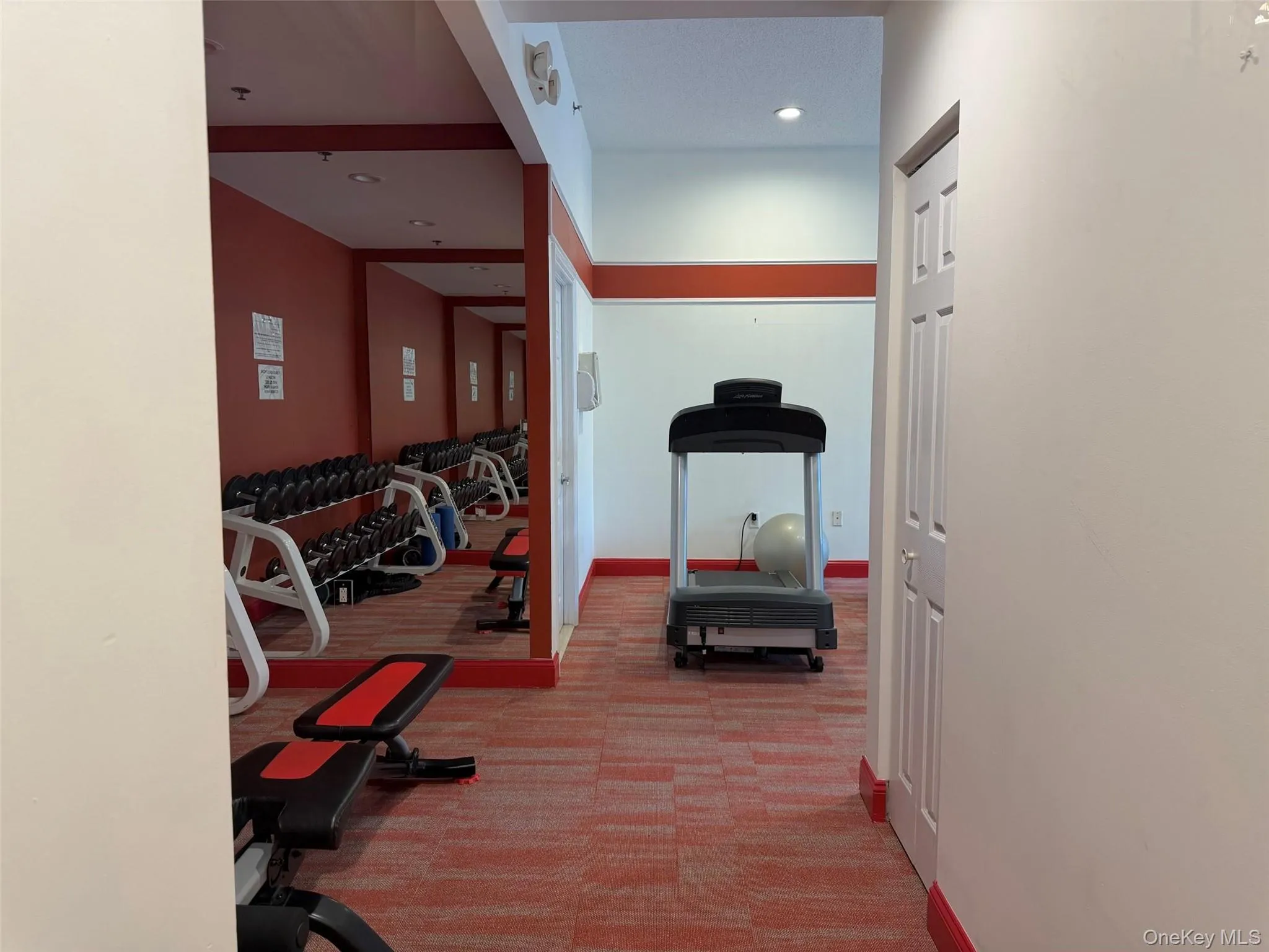 Gym Gym
