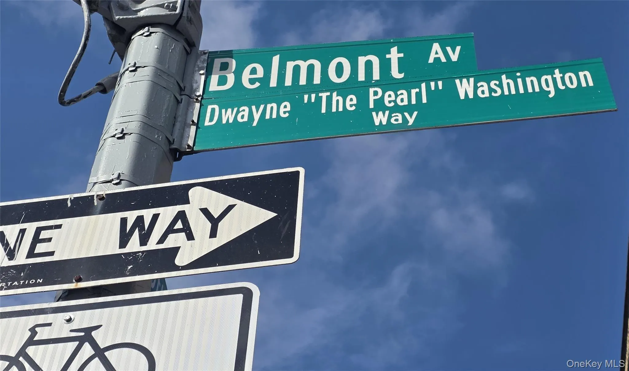 97 Belmont Ave - Dwayne "The Pear" Washington Way, New York, NY, 3 Bedroom Bedrooms, 7 Room Rooms,1 BathroomBathrooms,Residential Lease,For Rent,Belmont Ave - Dwayne "The Pear" Washington Way,0,1062356 97 Belmont Ave - Dwayne "The Pear" Washington Way, New York, NY, 3 Bedroom Bedrooms, 7 Room Rooms,1 BathroomBathrooms,Residential Lease,For Rent,Belmont Ave - Dwayne "The Pear" Washington Way,0,1062356