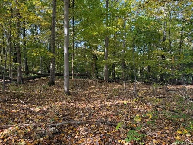 Lot 4 Three Point Place, Newburgh (town), NY, ,Land,For Rent,Three Point,0,1062471 Lot 4 Three Point Place, Newburgh (town), NY, ,Land,For Rent,Three Point,0,1062471